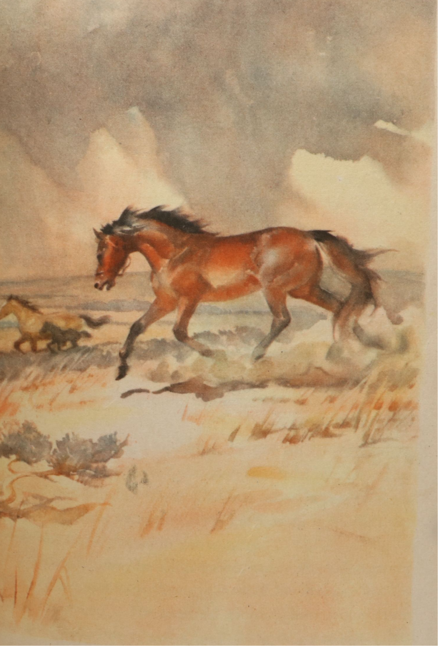 First Illustrated Edition "The Red Pony" by John Steinbeck, 1945