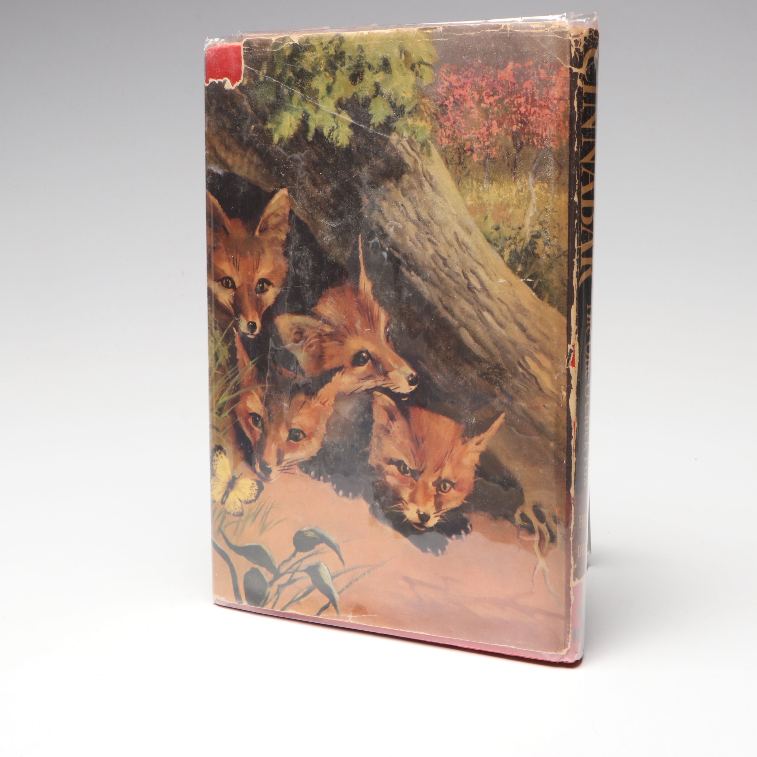 First Edition "Cinnabar, the One O'Clock Fox" by Marguerite Henry, 1956
