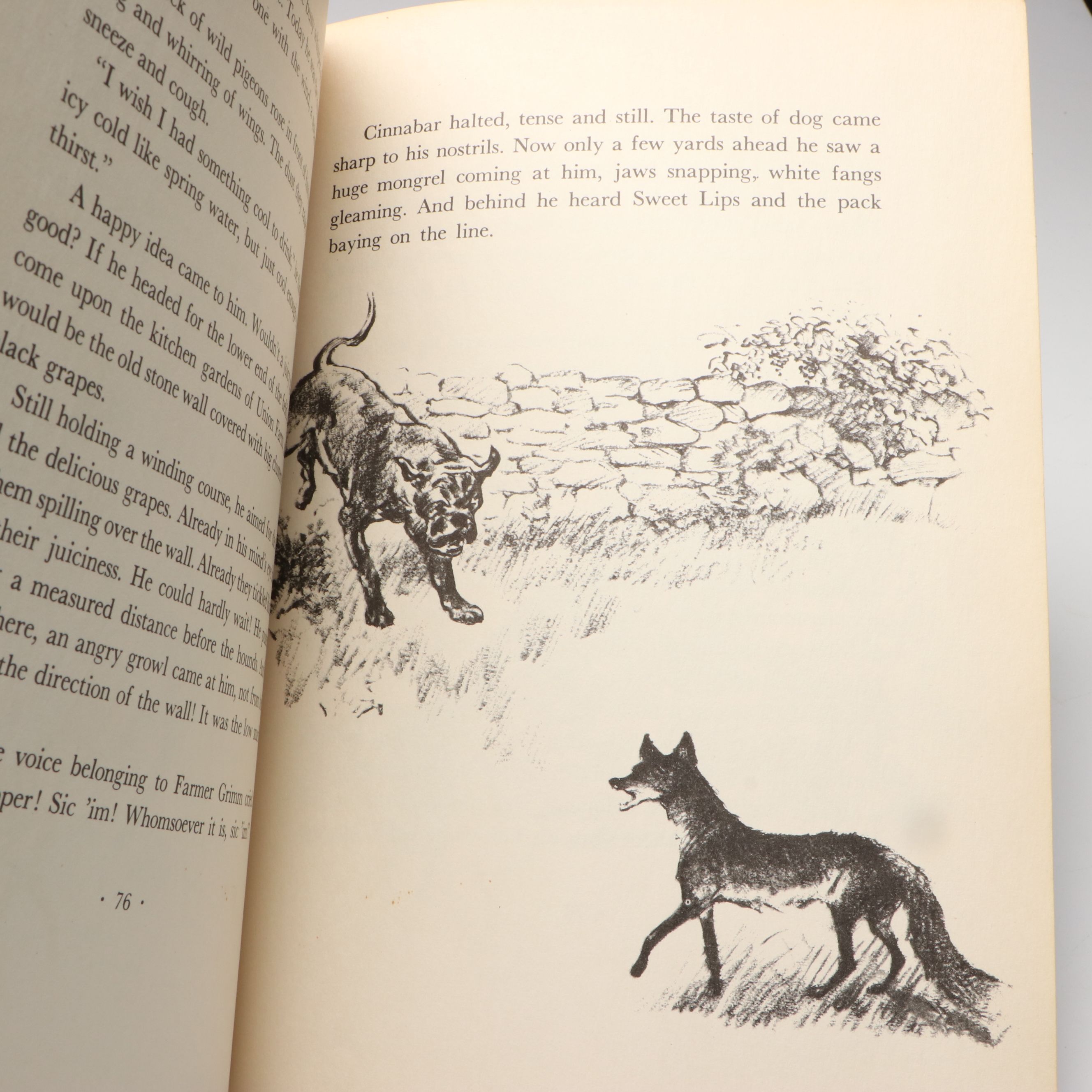 First Edition "Cinnabar, the One O'Clock Fox" by Marguerite Henry, 1956