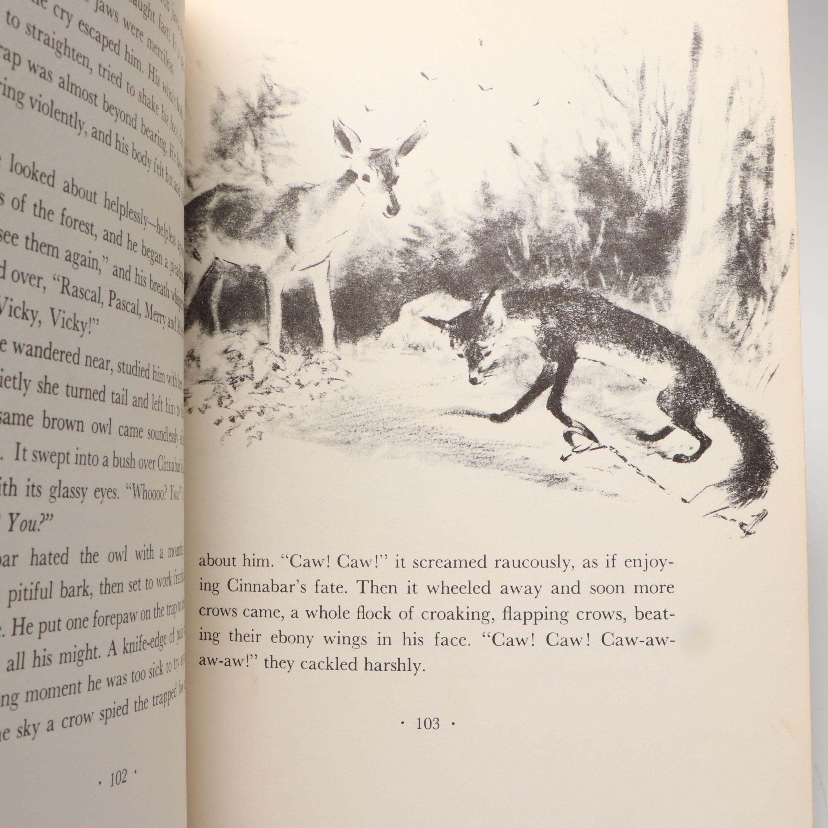 First Edition "Cinnabar, the One O'Clock Fox" by Marguerite Henry, 1956