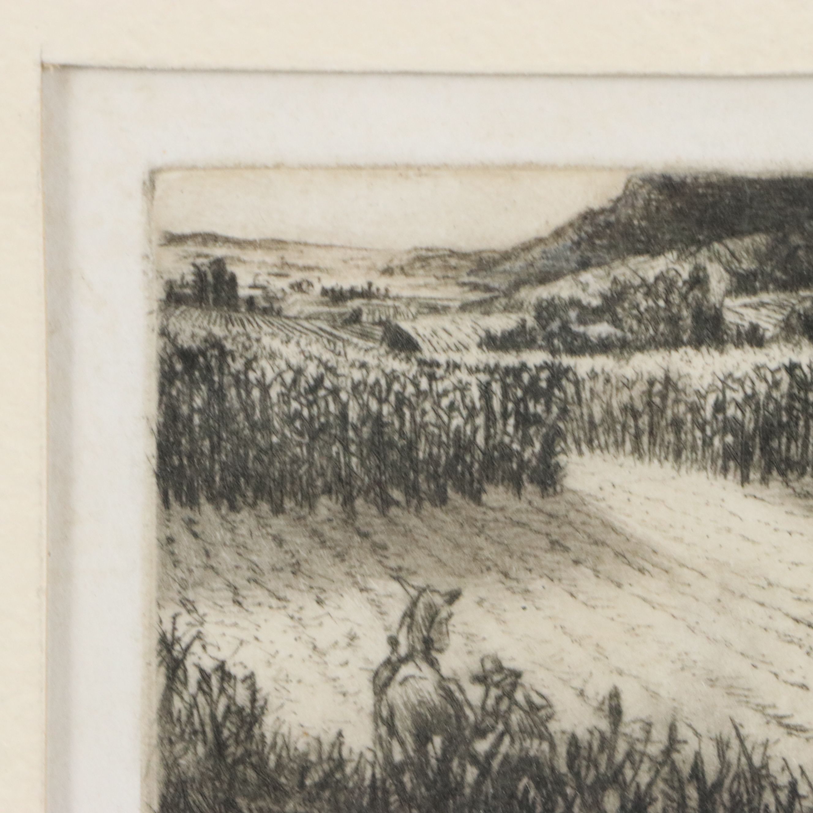 G. Matney Etching on Paper "Cornfields," 1979