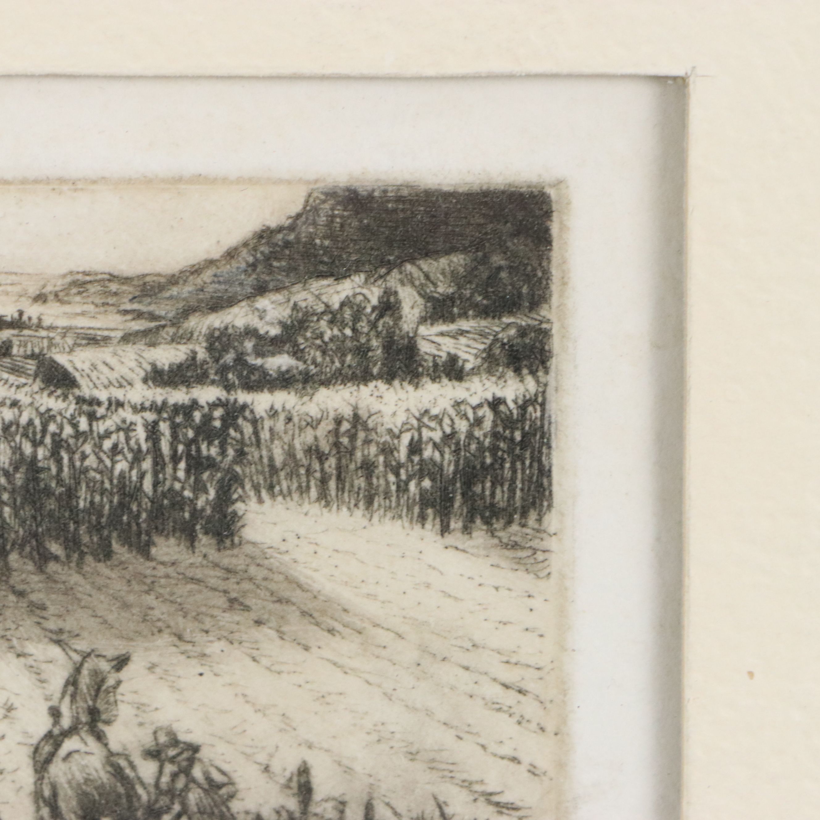 G. Matney Etching on Paper "Cornfields," 1979