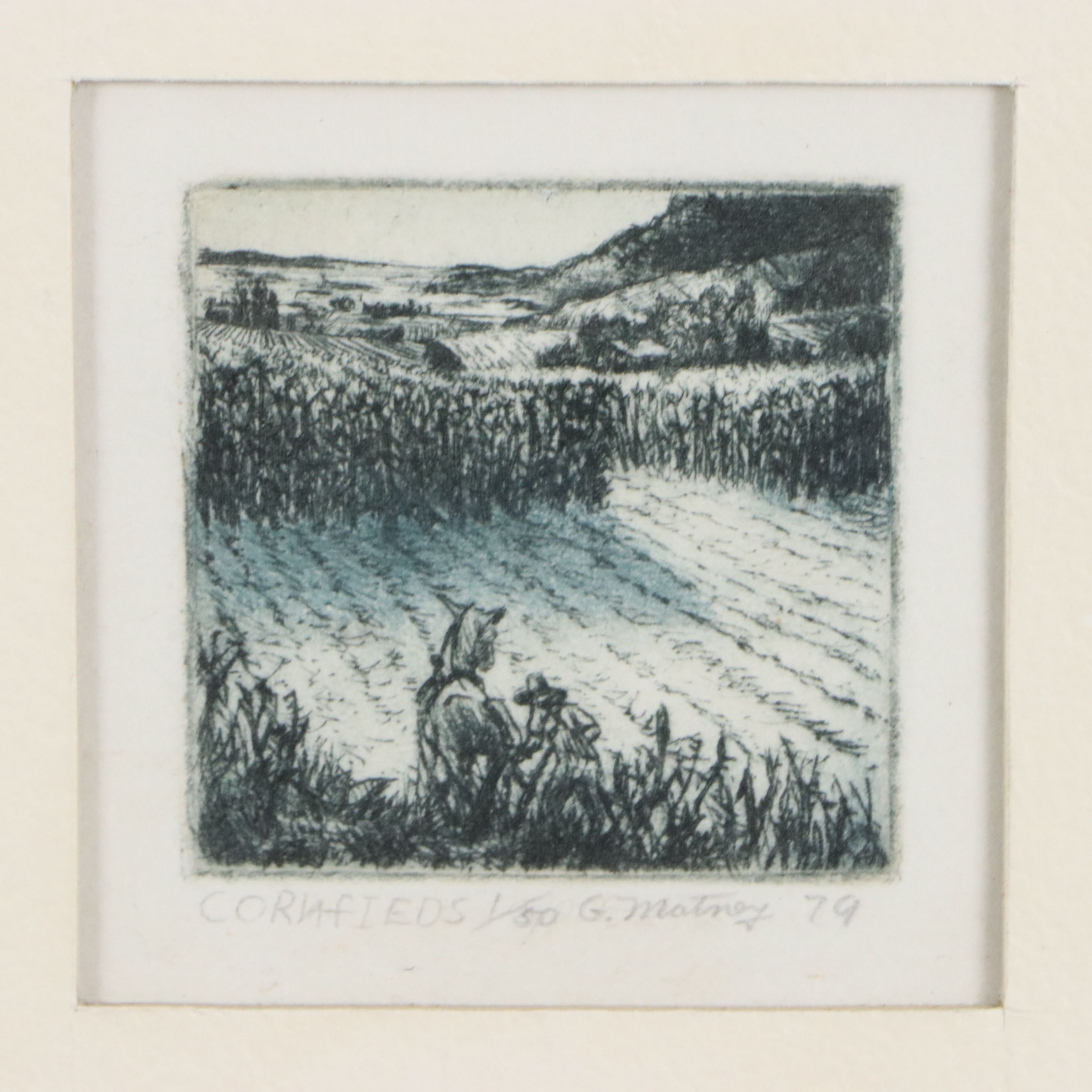 G. Matney Aquatint Etching "Cornfields," on Paper, 1979