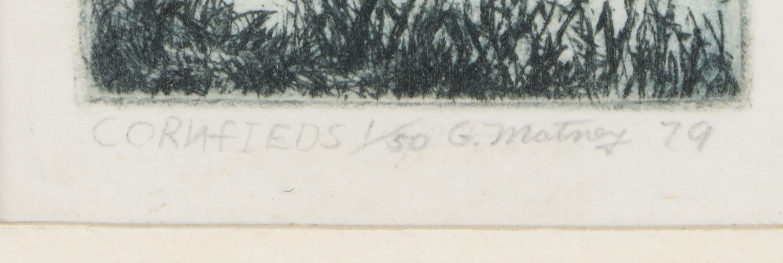 G. Matney Aquatint Etching "Cornfields," on Paper, 1979