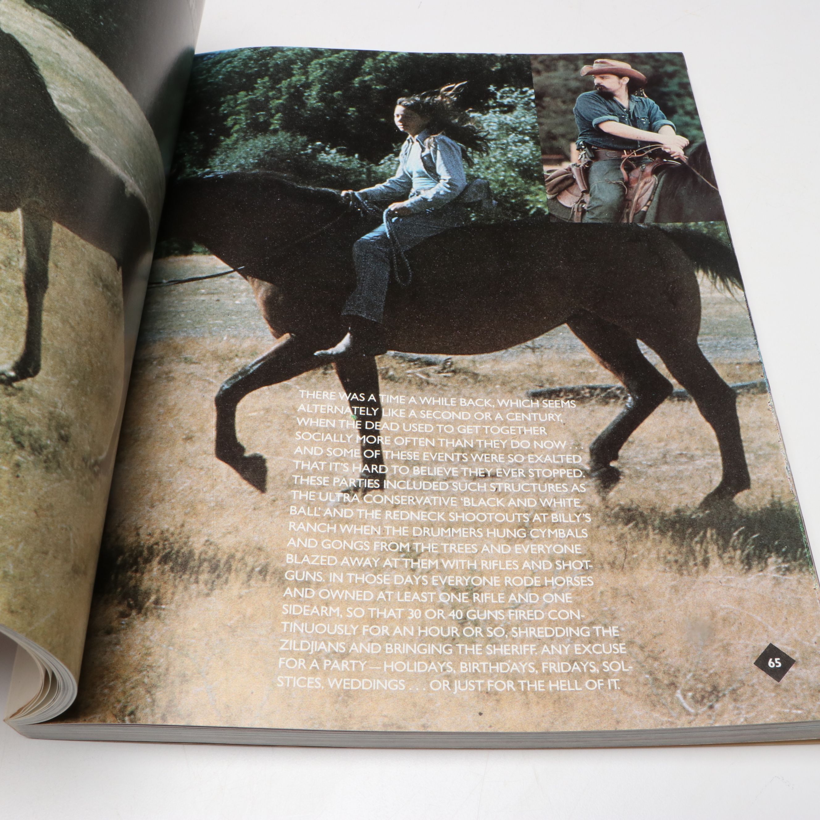 First Paperback Printing "Grateful Dead Family Album" by Jerilyn Lee Brandelius