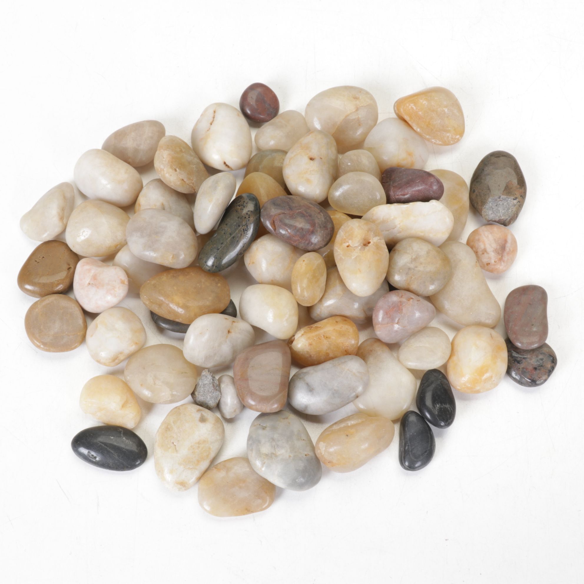 Lortone Rotary Rock Tumbler with Rock Collection