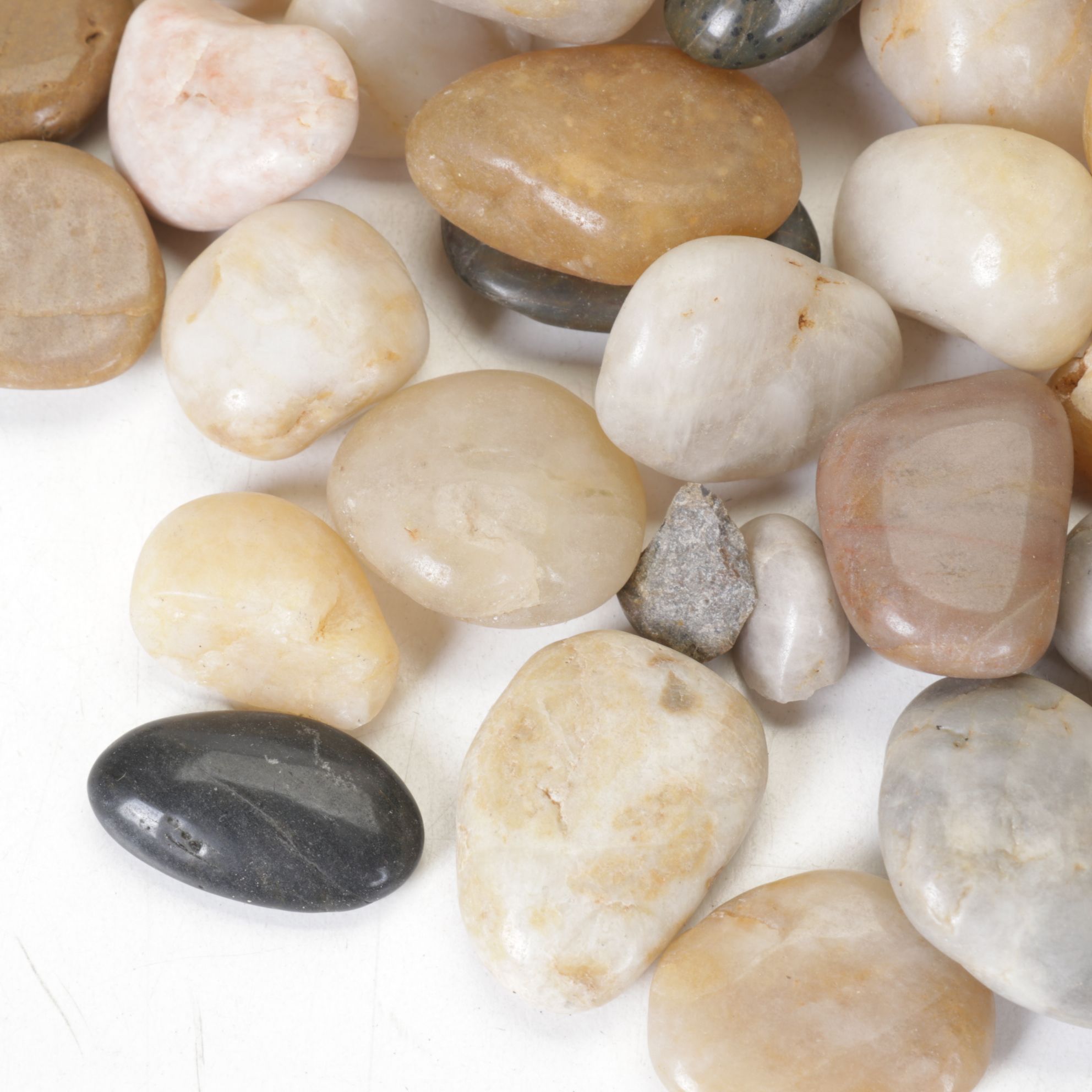 Lortone Rotary Rock Tumbler with Rock Collection