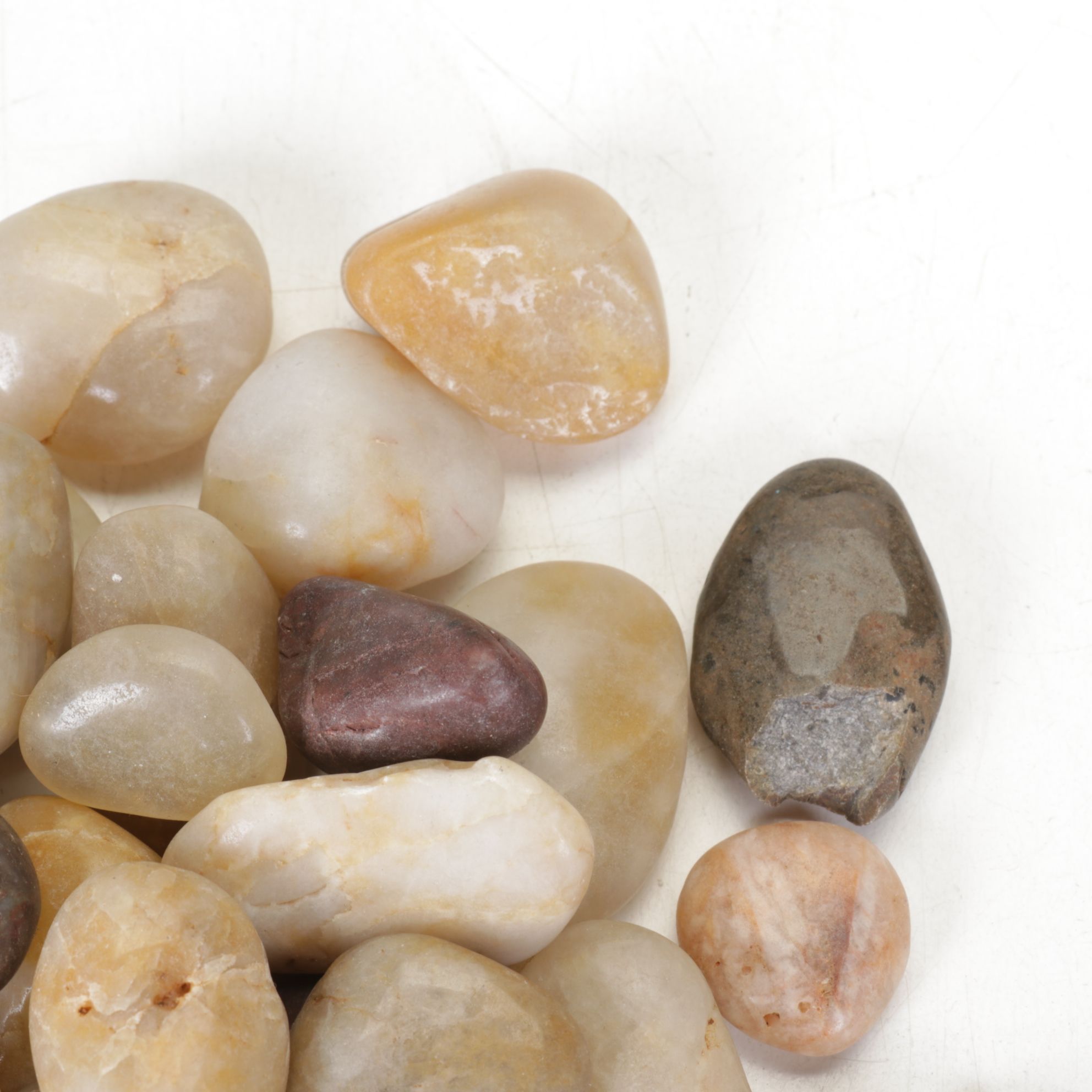 Lortone Rotary Rock Tumbler with Rock Collection