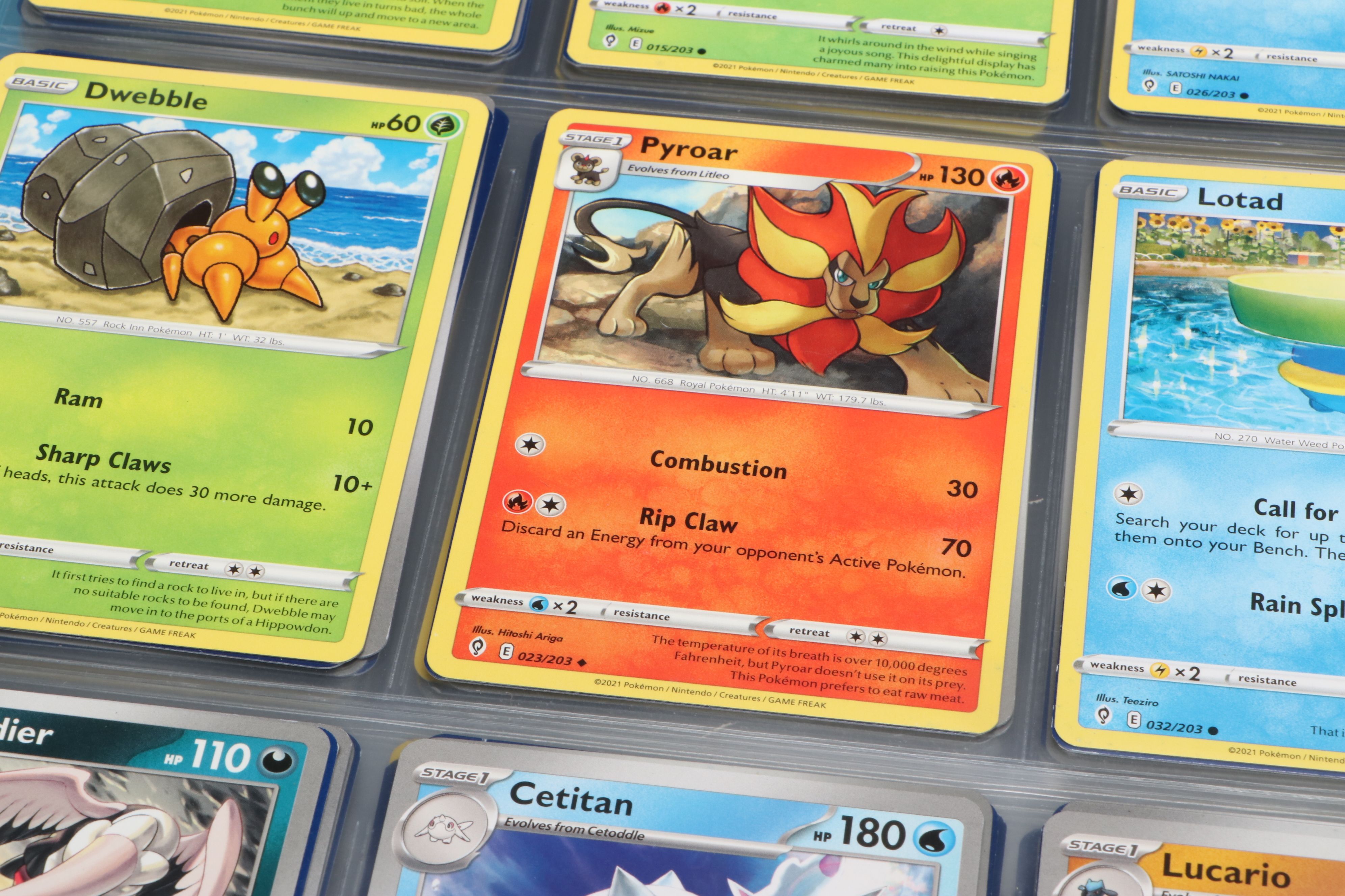 Pokémon Card Collection Featuring Holos and More, 2020s