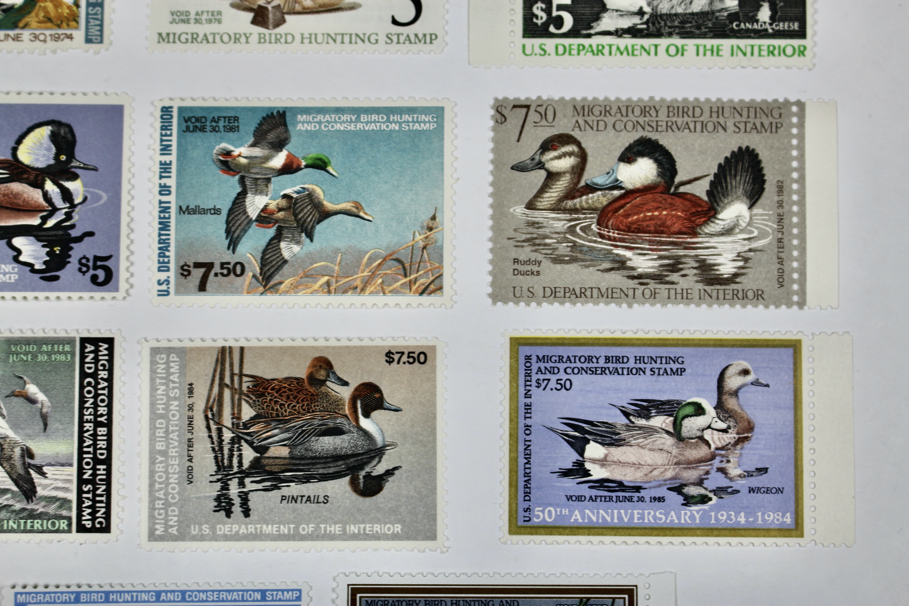 Eleven Different MNH U.S. Duck Stamps