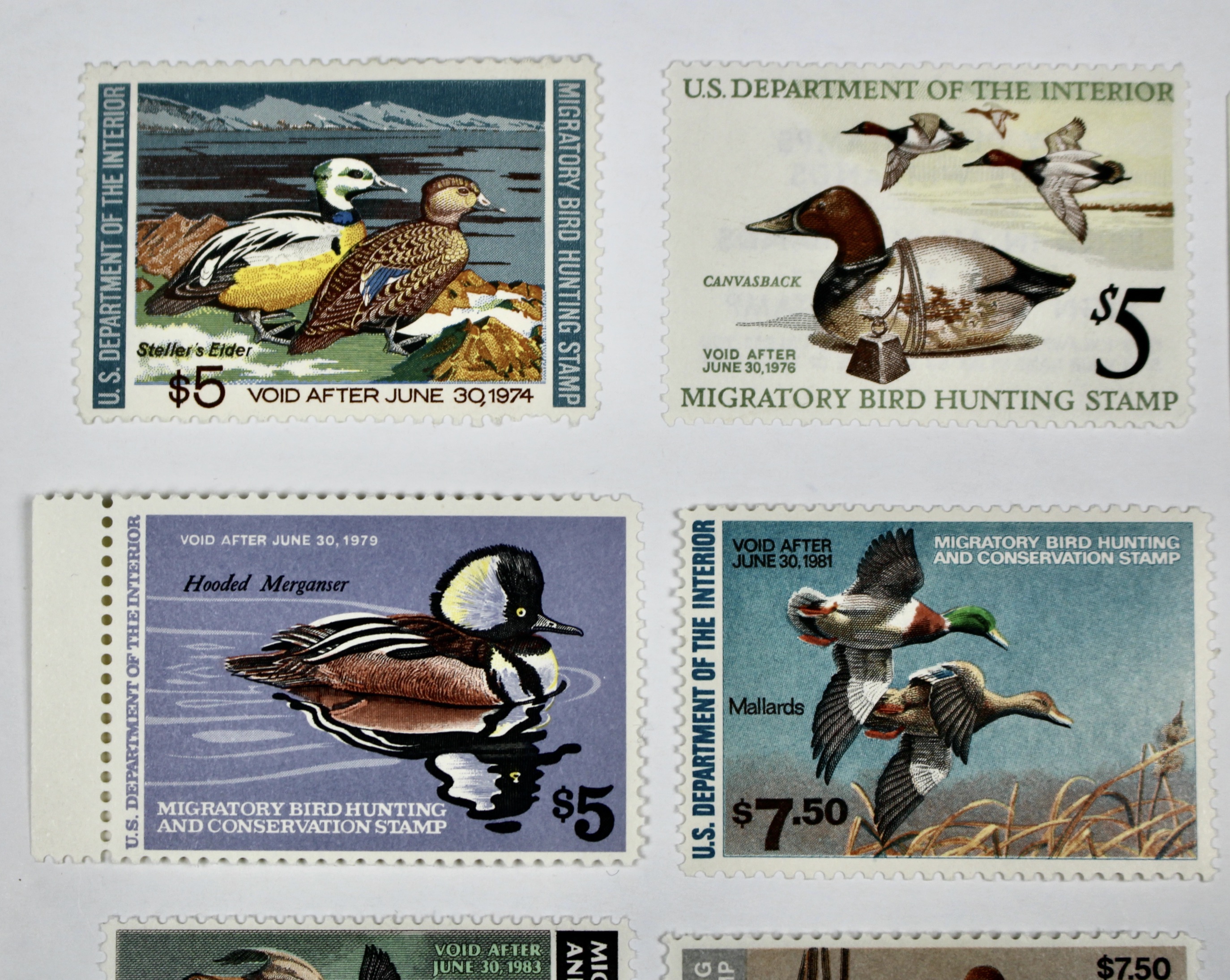 Eleven Different MNH U.S. Duck Stamps