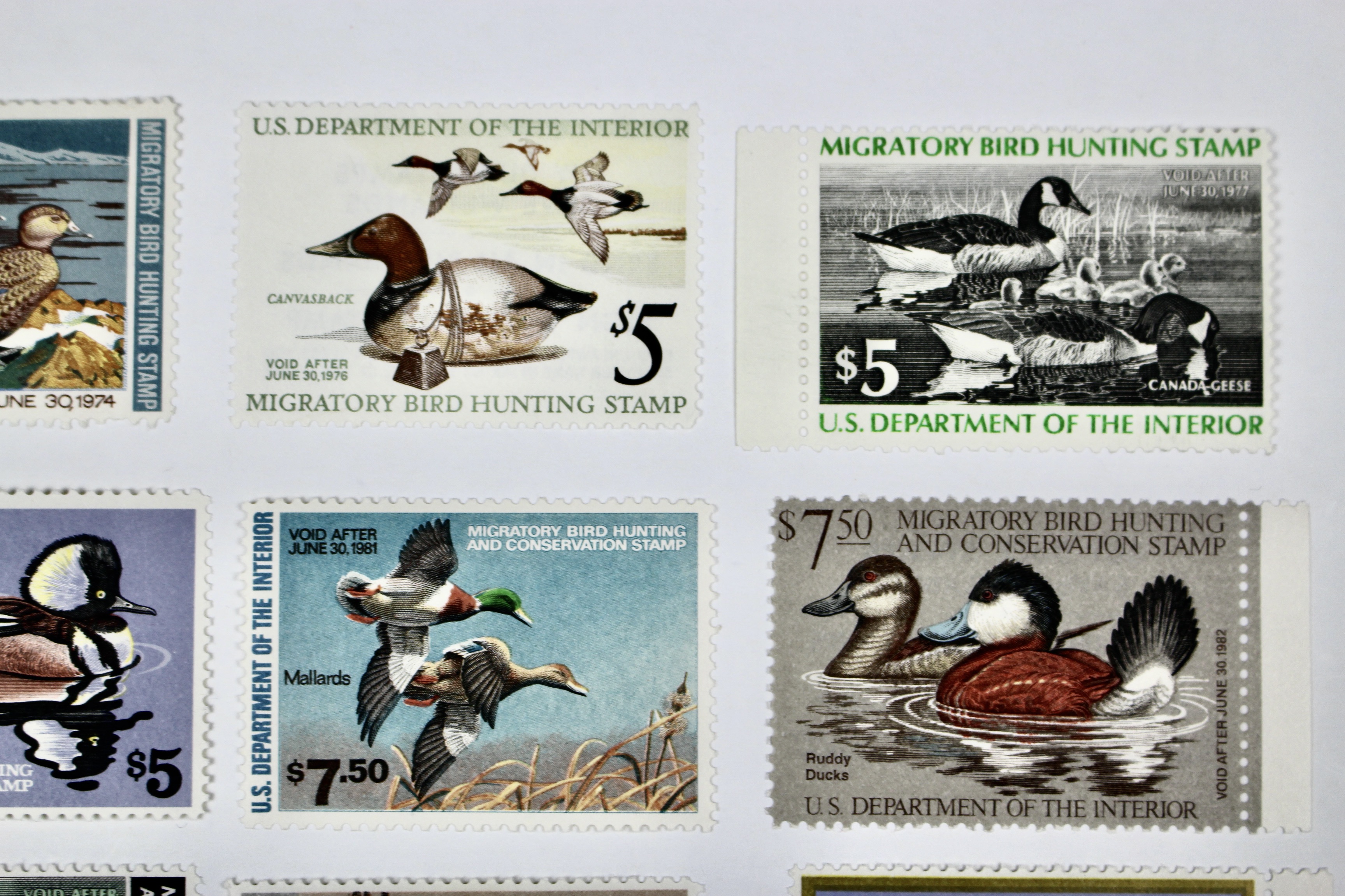 Eleven Different MNH U.S. Duck Stamps