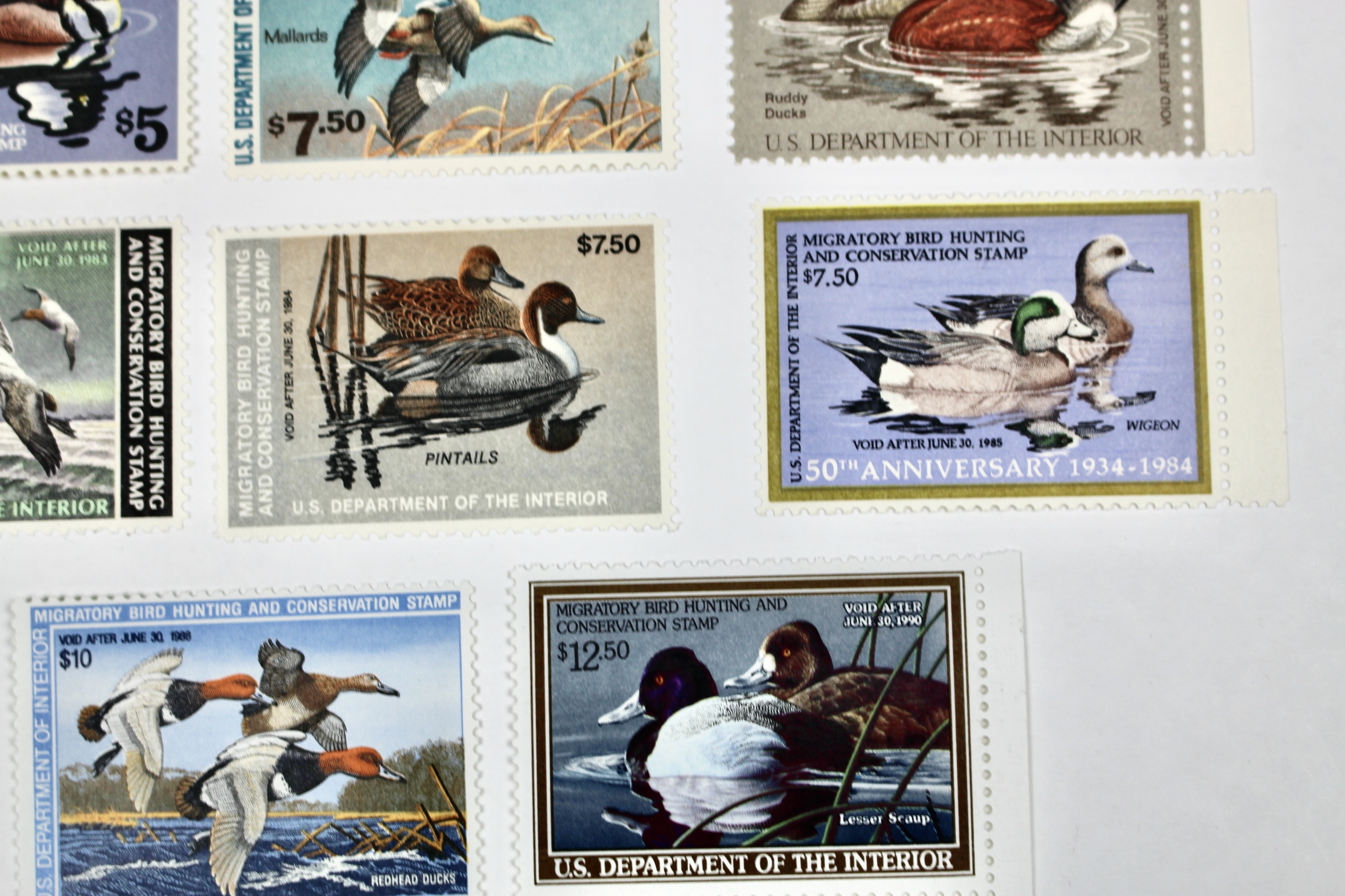 Eleven Different MNH U.S. Duck Stamps
