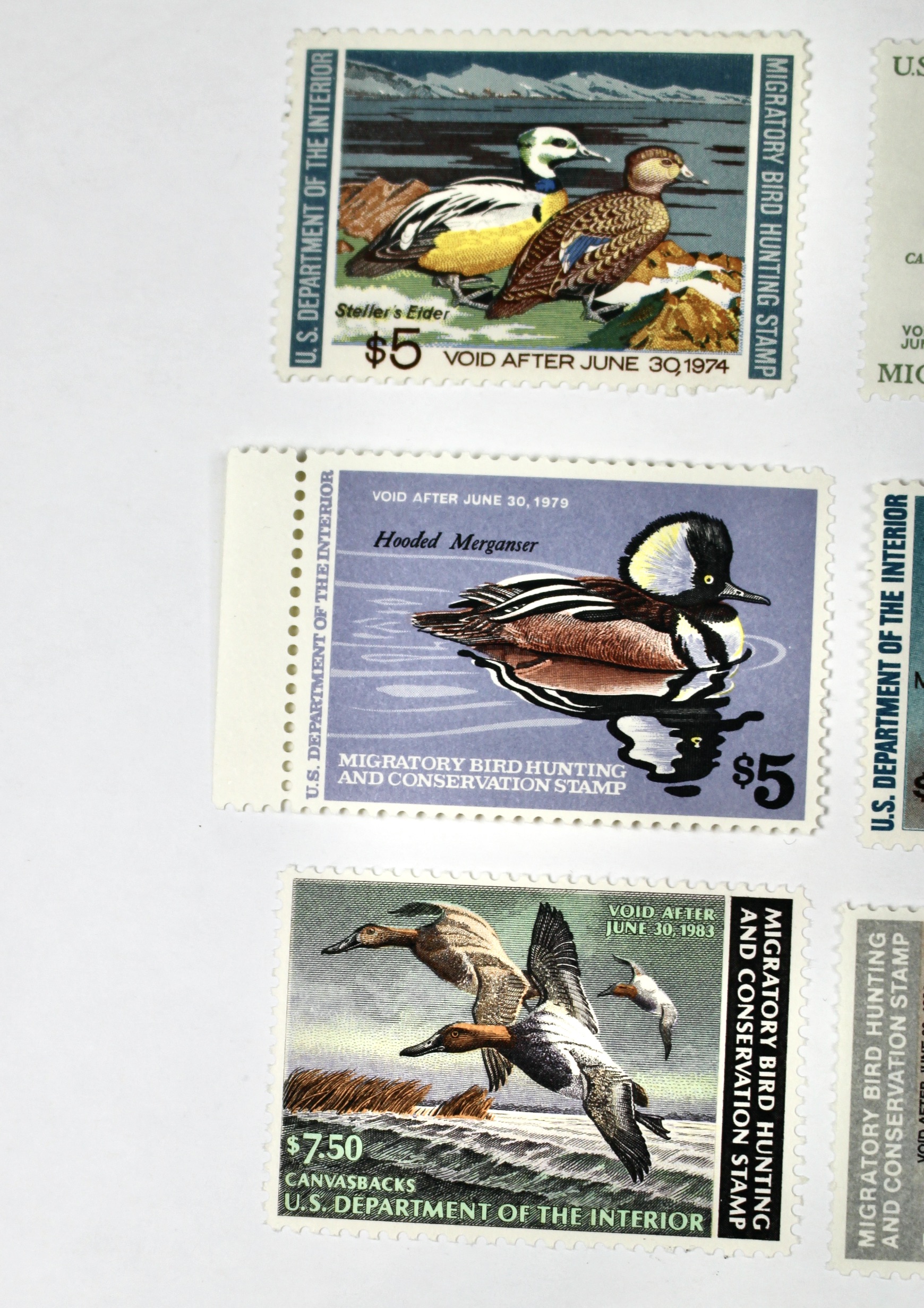 Eleven Different MNH U.S. Duck Stamps