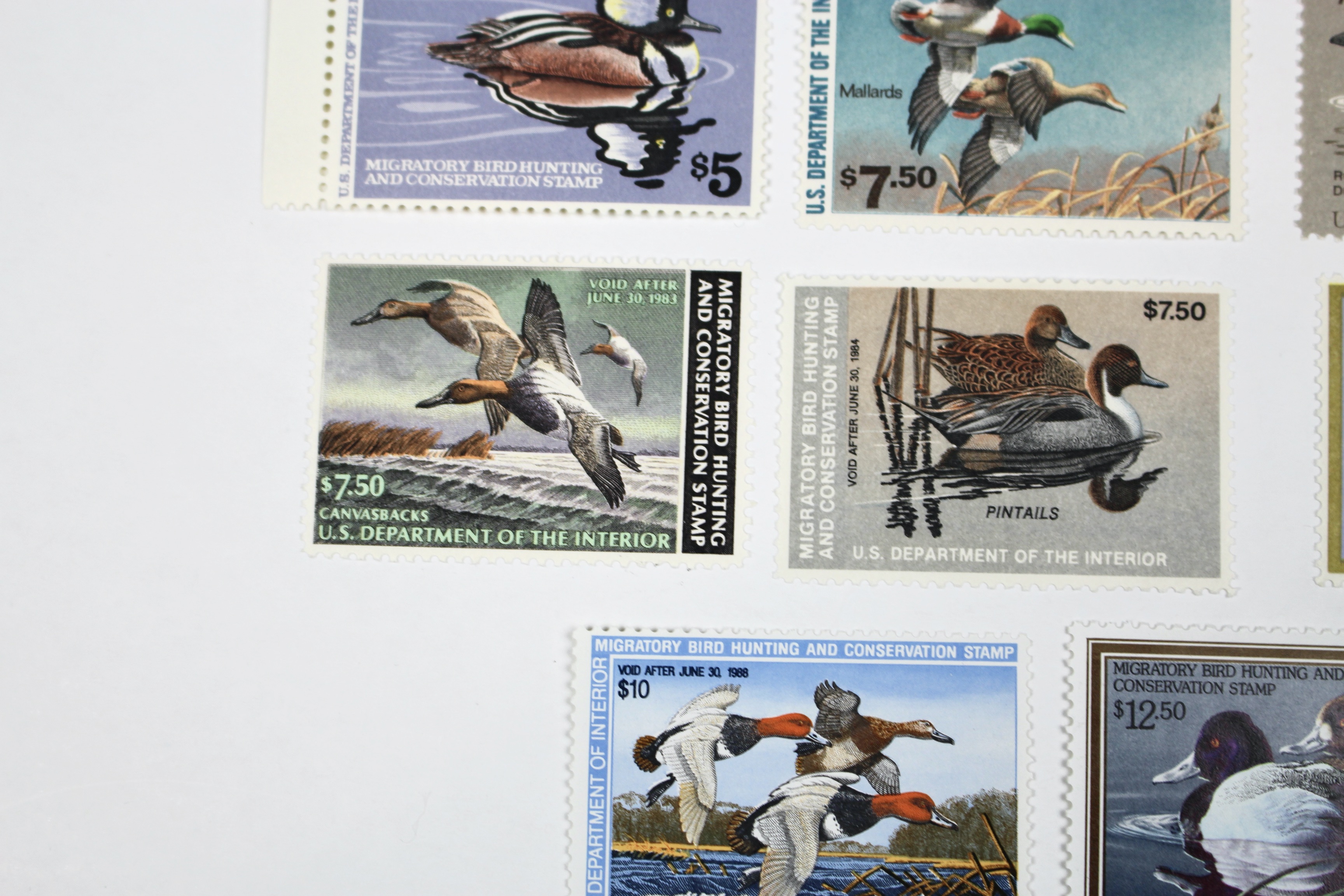 Eleven Different MNH U.S. Duck Stamps
