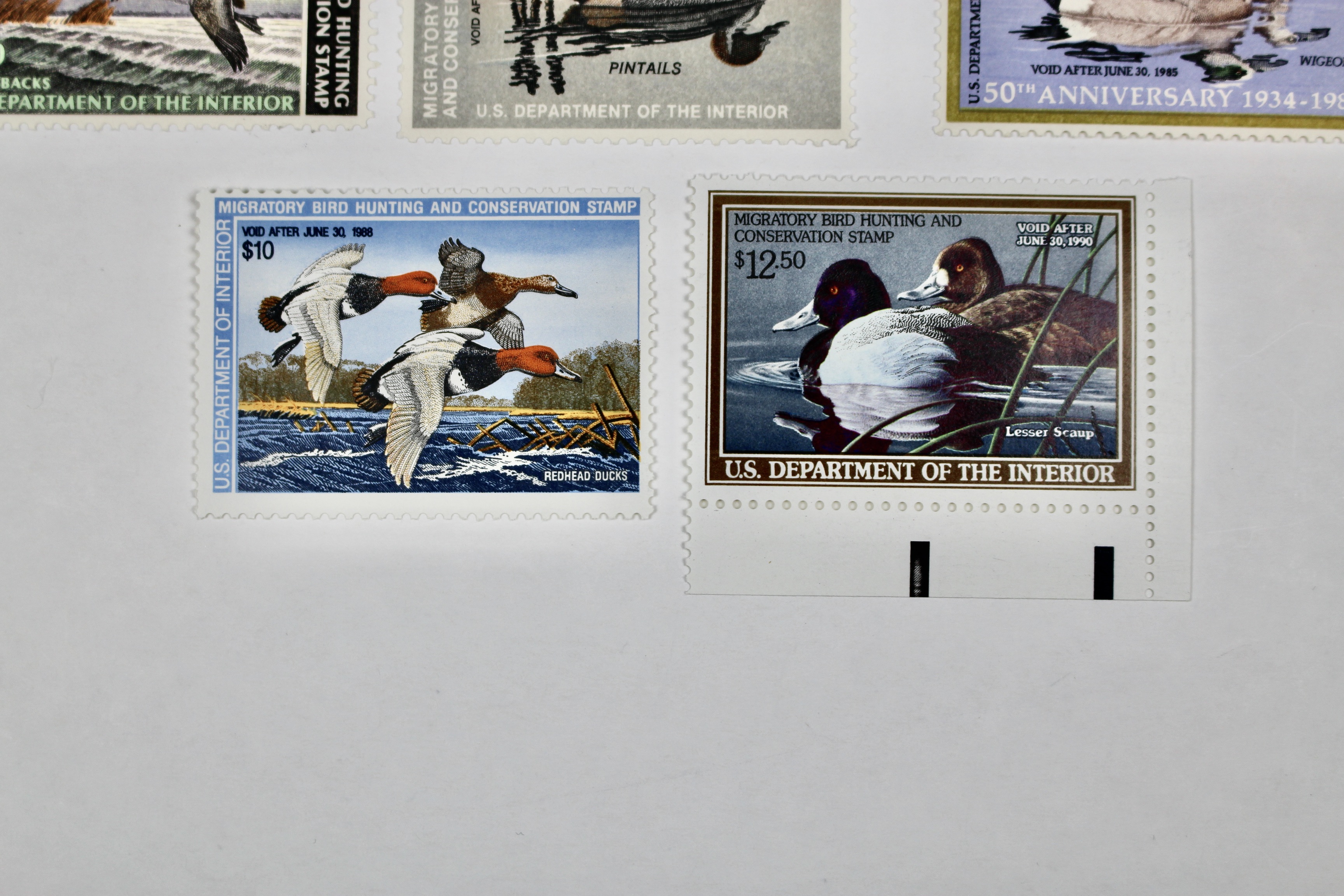 Eleven Different MNH U.S. Duck Stamps