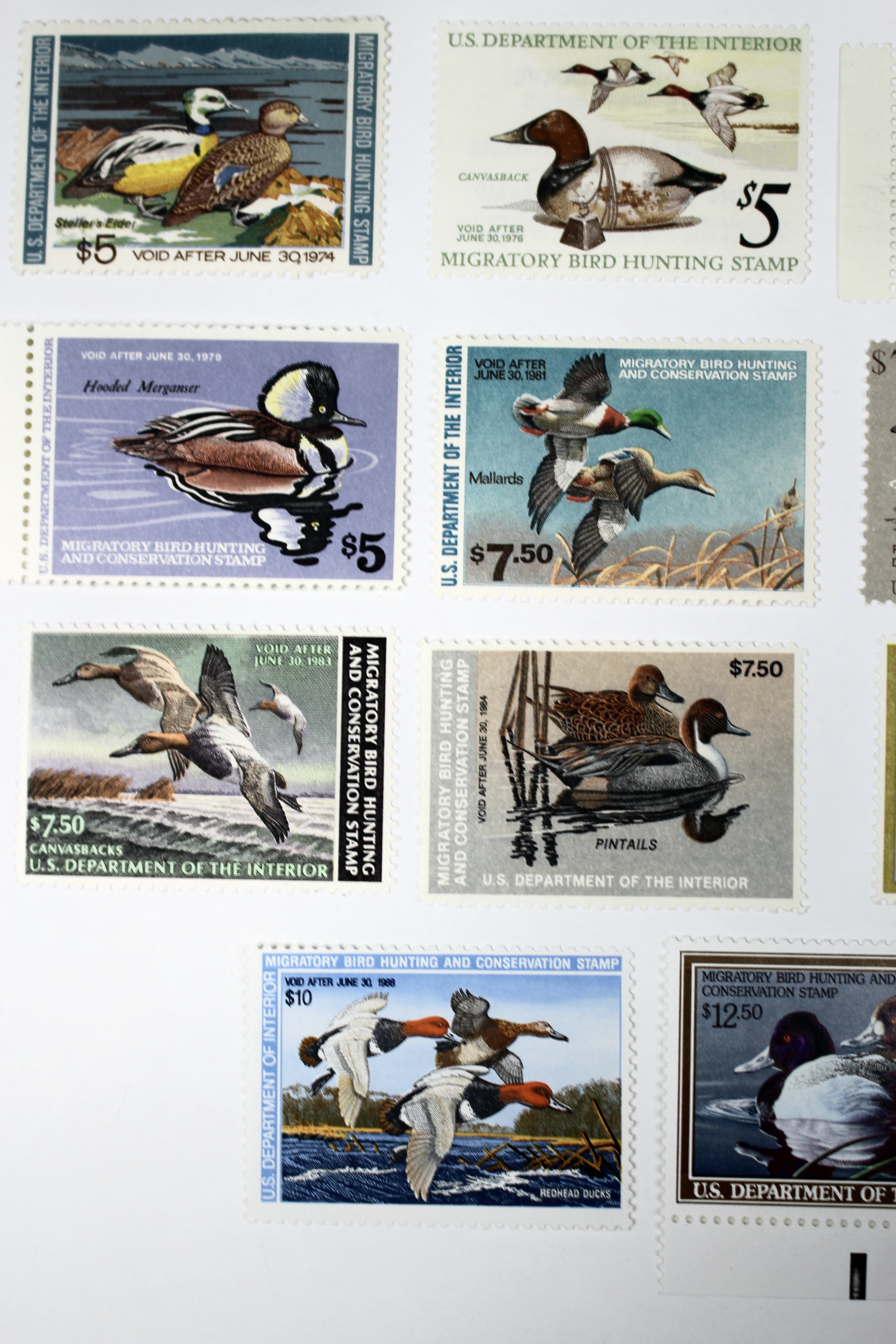 Eleven Different MNH U.S. Duck Stamps