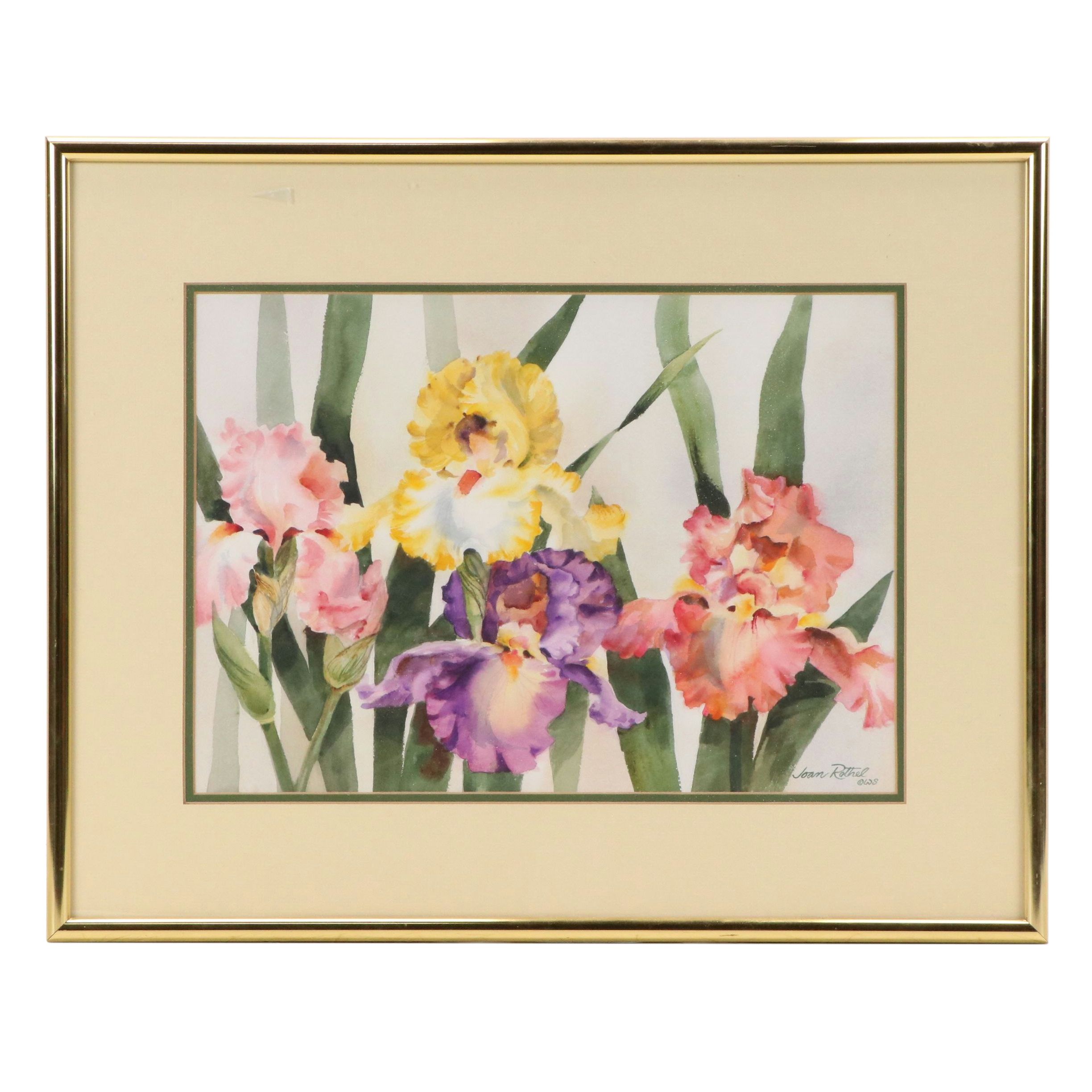 Joan Rothel Watercolor on Paper of Irises, Late 20th Century