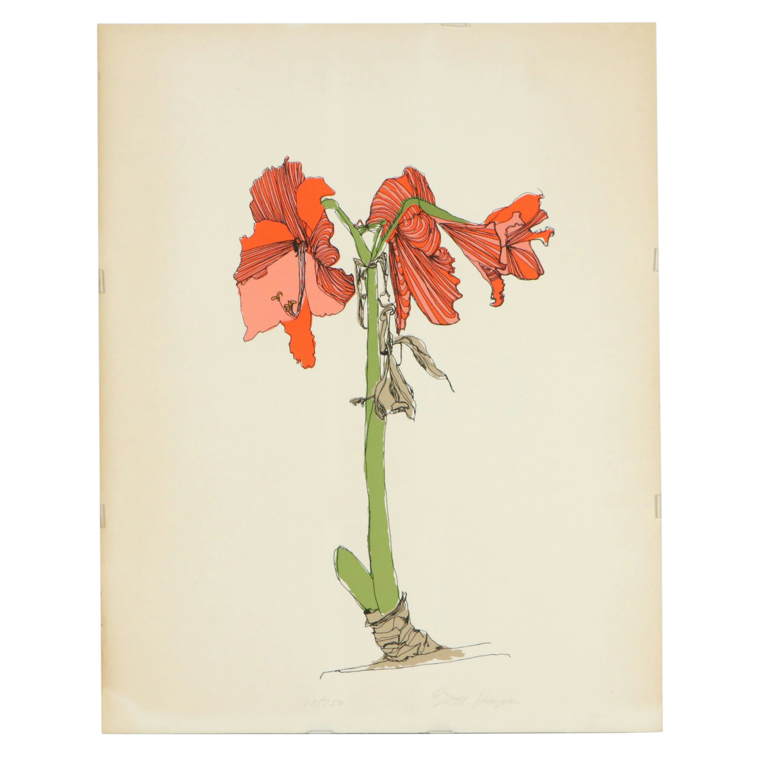 Brett Harper Amaryllis Still Life Serigraph "Fireworks From the Earth," Ca. 1979