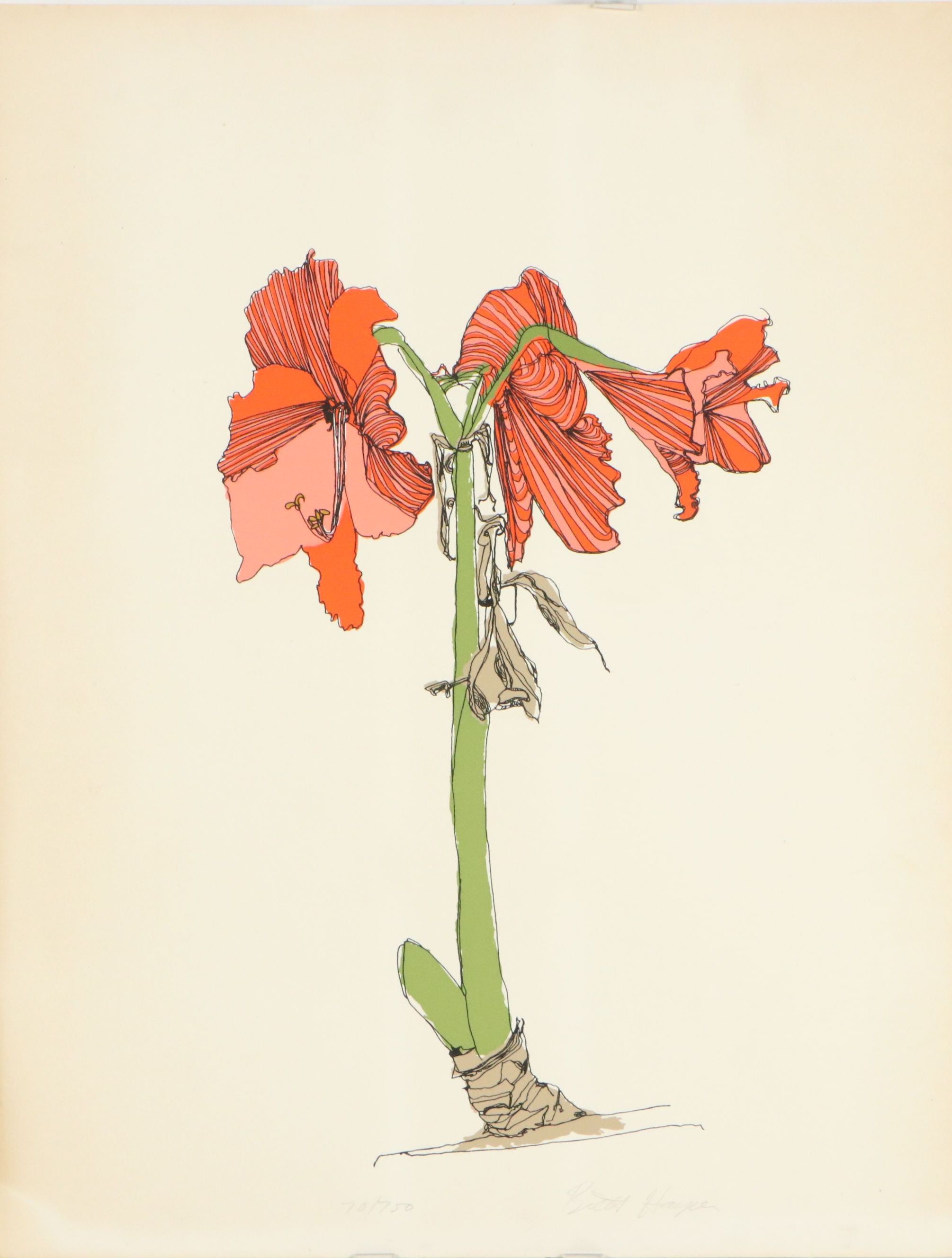 Brett Harper Amaryllis Still Life Serigraph "Fireworks From the Earth," Ca. 1979