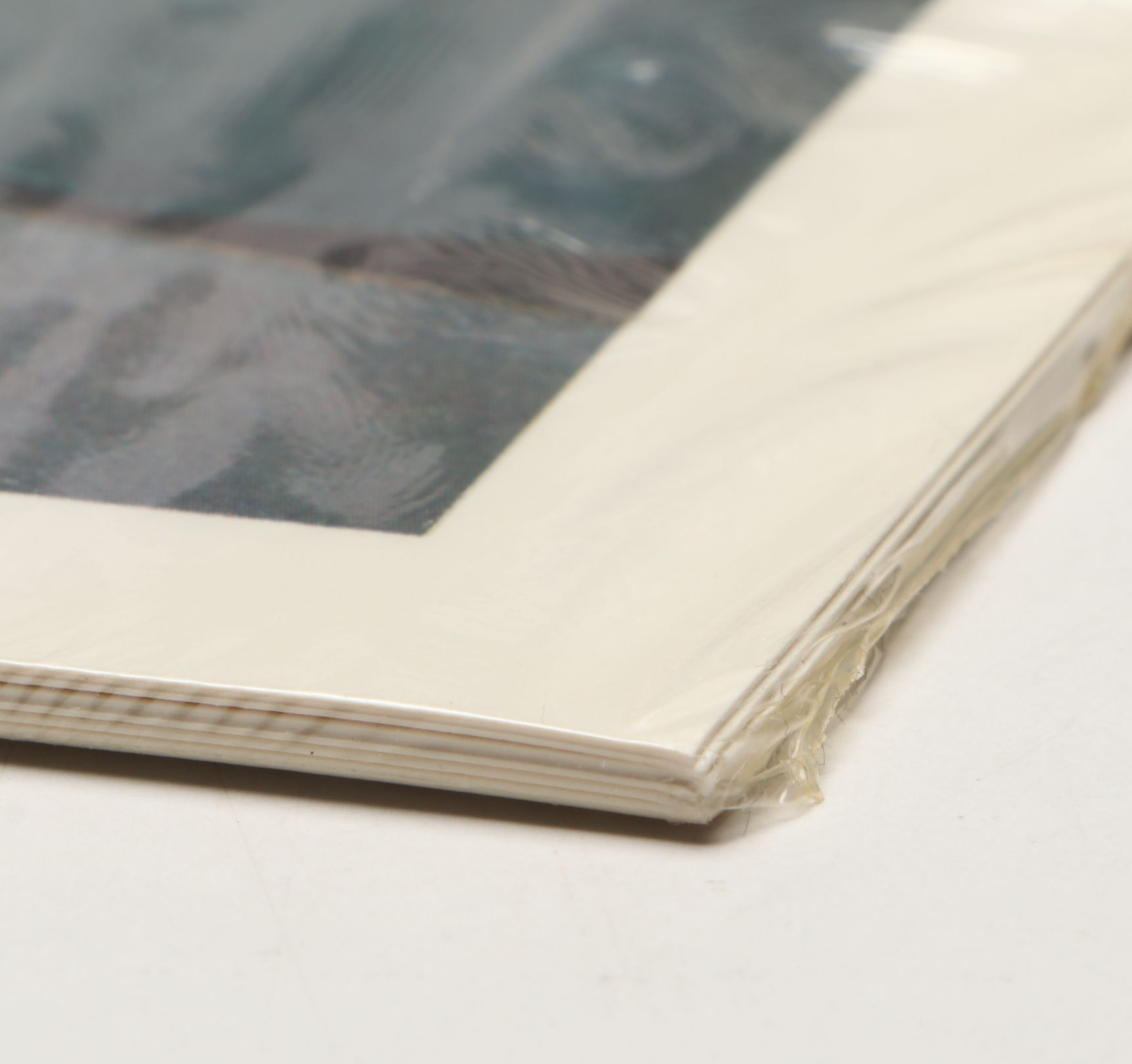 "Panoramic Cincinnati" by Thomas R. Schiff and Other Cincinnati Art Books