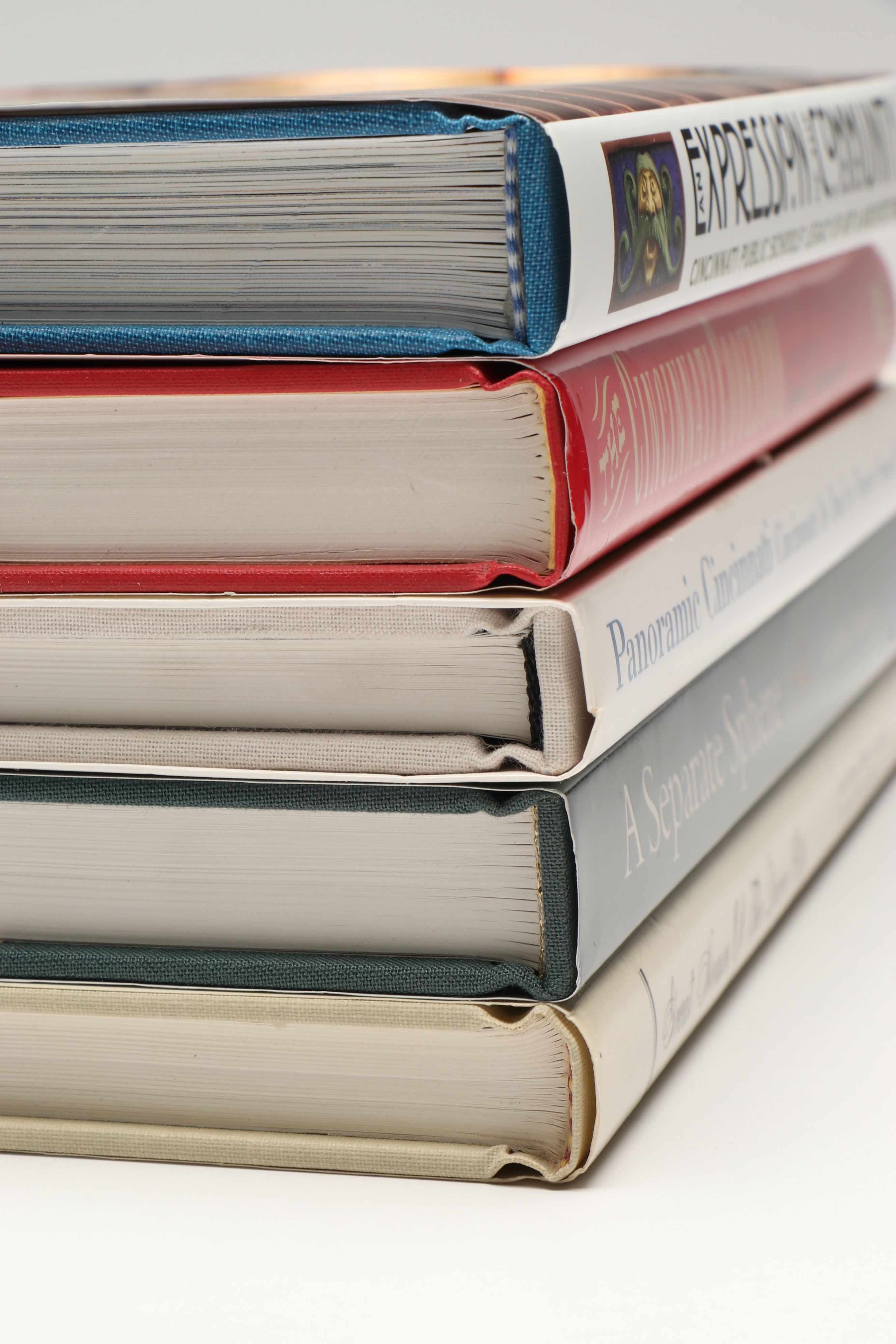 "Panoramic Cincinnati" by Thomas R. Schiff and Other Cincinnati Art Books