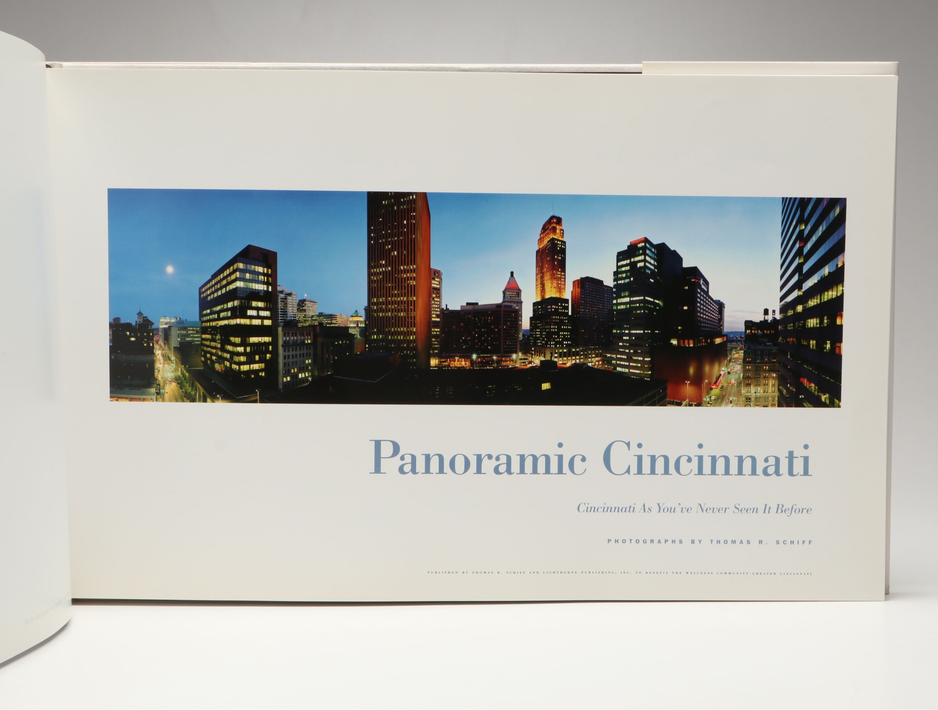 "Panoramic Cincinnati" by Thomas R. Schiff and Other Cincinnati Art Books