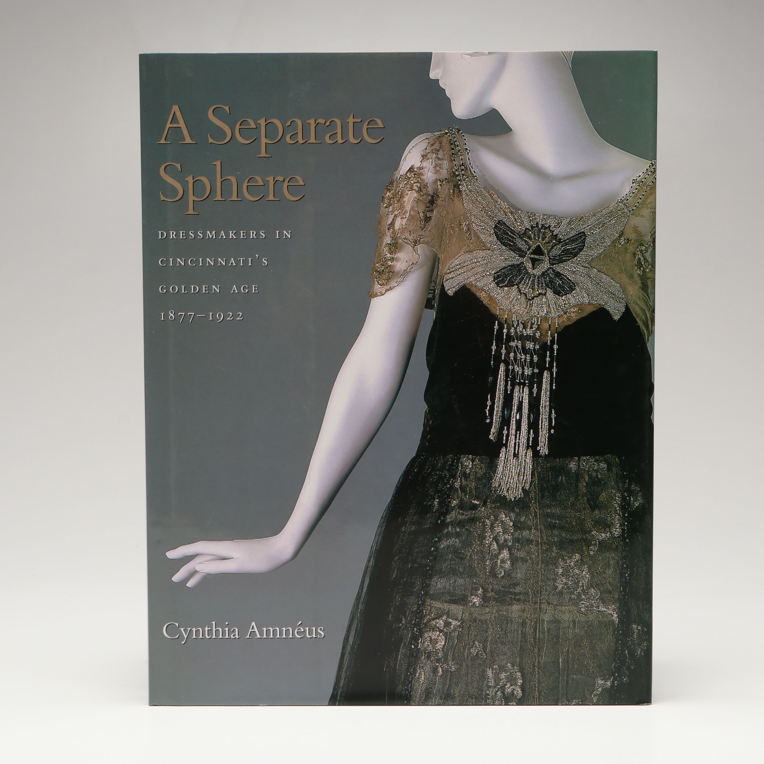 "Panoramic Cincinnati" by Thomas R. Schiff and Other Cincinnati Art Books