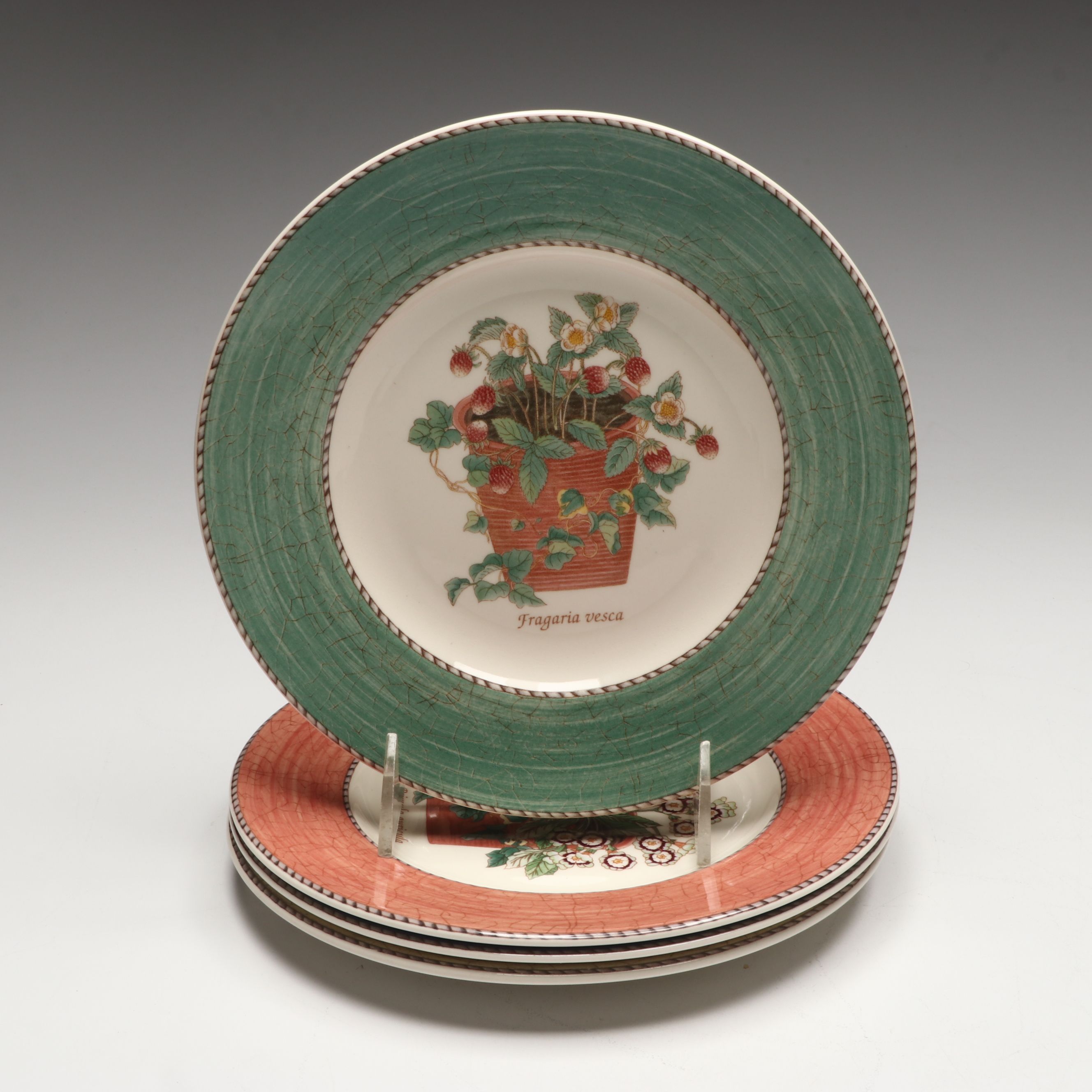 Wedgwood "Sarah's Garden" Porcelain Dinner and Salad Plates, 1997