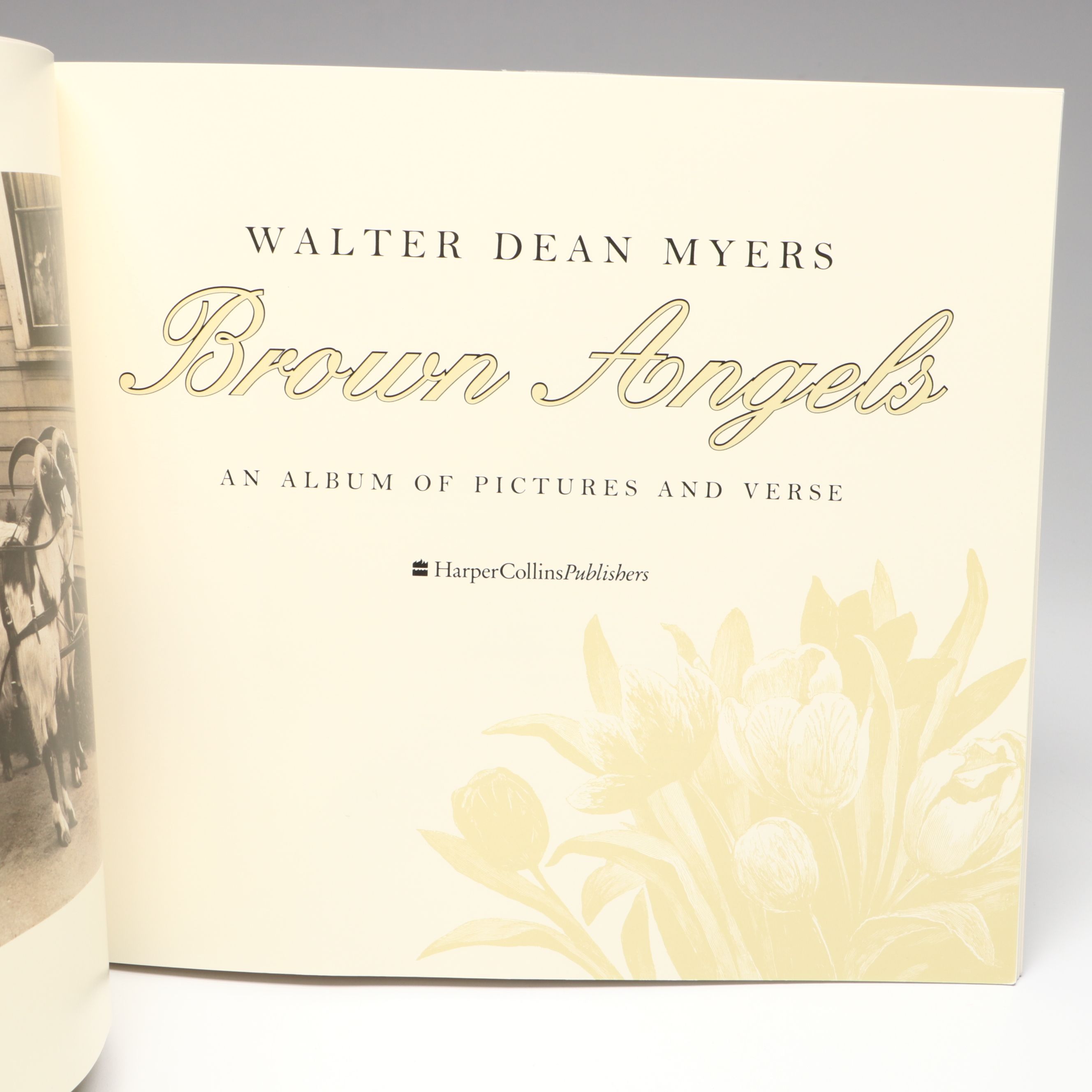 "Brown Angels: An Album of Pictures and Verse" by Walter Dean Myers