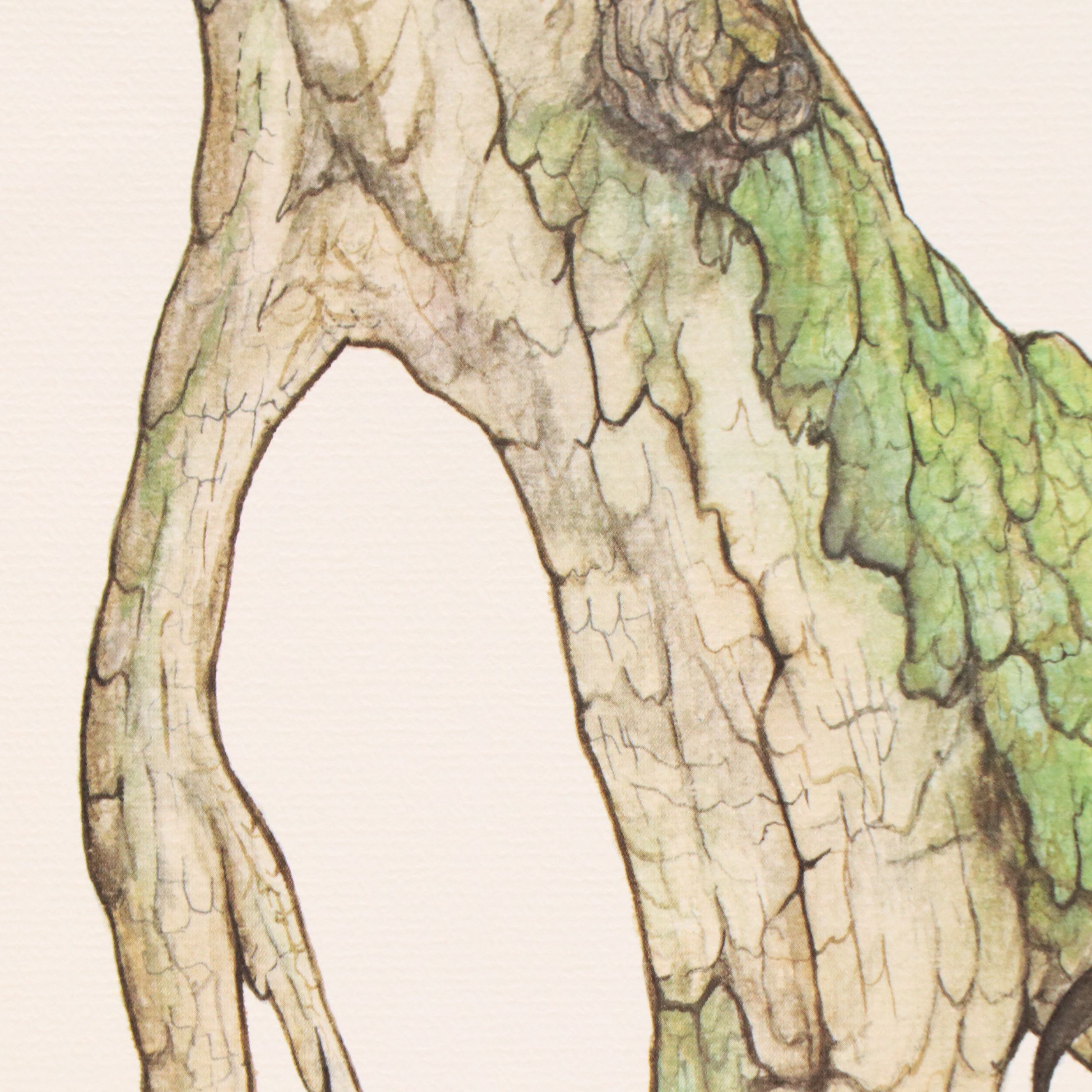 Larry Felker Offset Litho "American Bald Eagle (Haliaeetus Leucocephalus)," 1975