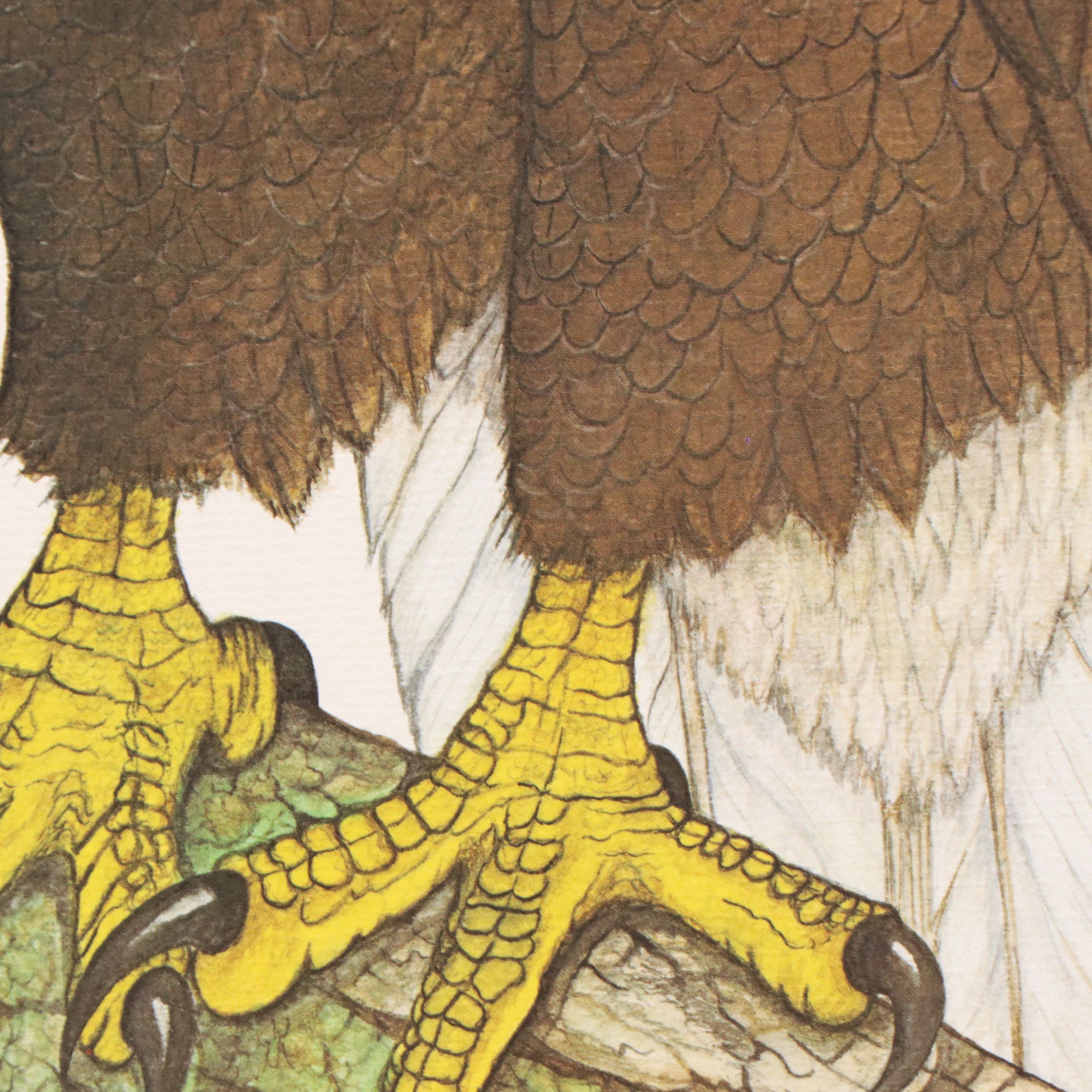 Larry Felker Offset Litho "American Bald Eagle (Haliaeetus Leucocephalus)," 1975