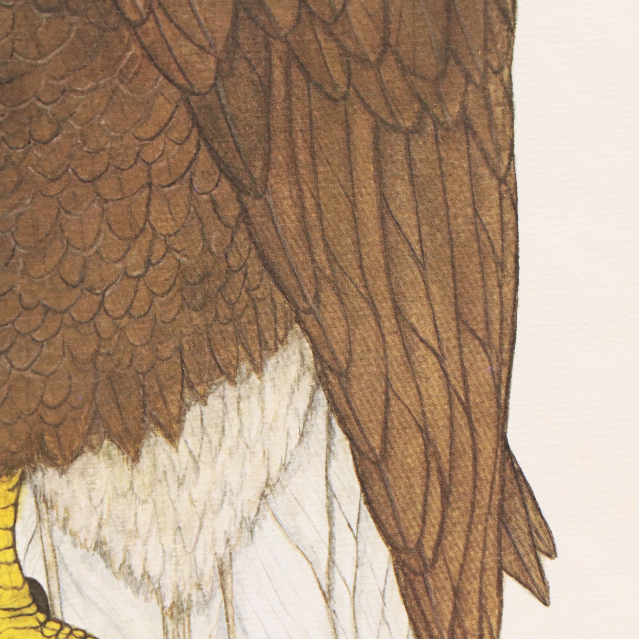 Larry Felker Offset Litho "American Bald Eagle (Haliaeetus Leucocephalus)," 1975