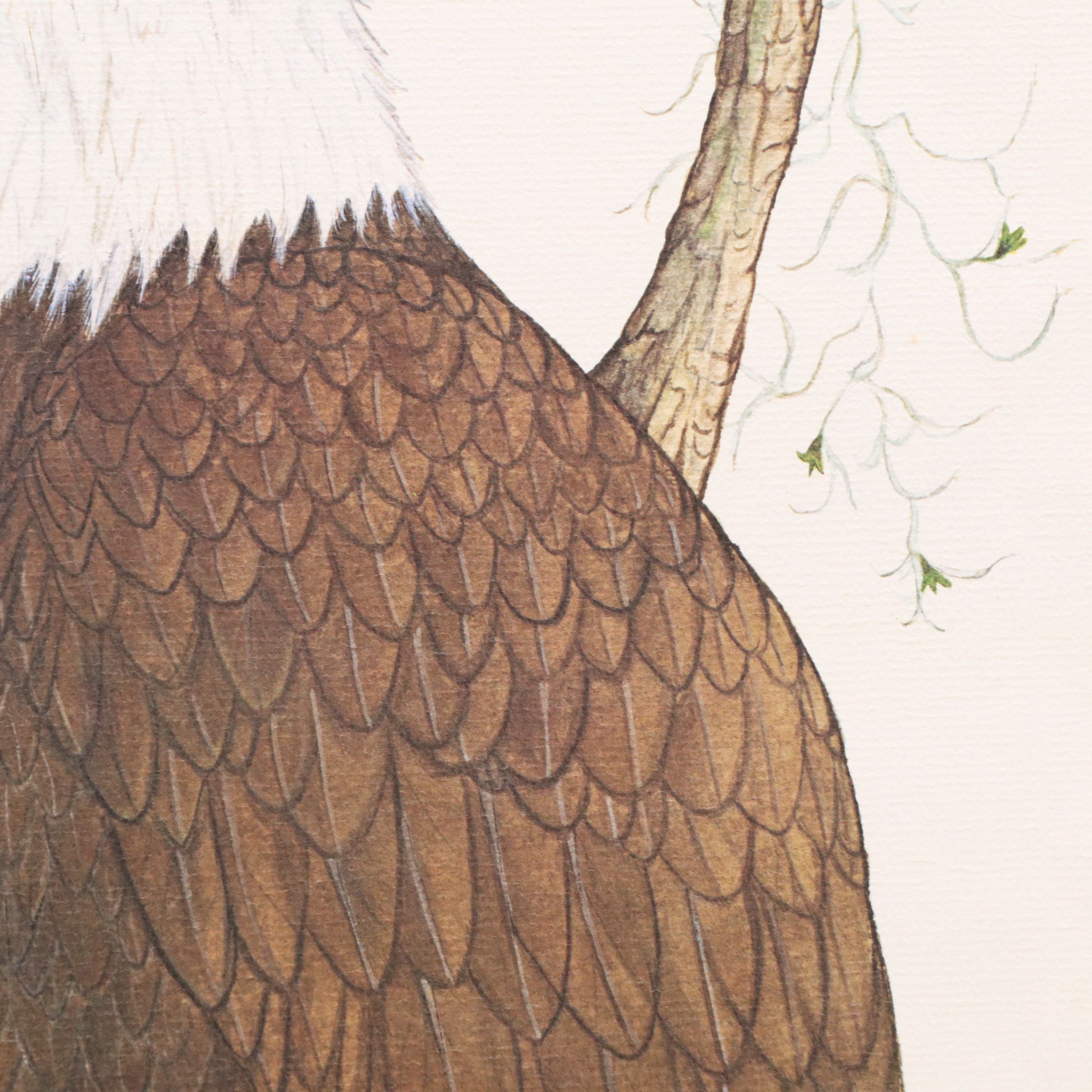 Larry Felker Offset Litho "American Bald Eagle (Haliaeetus Leucocephalus)," 1975