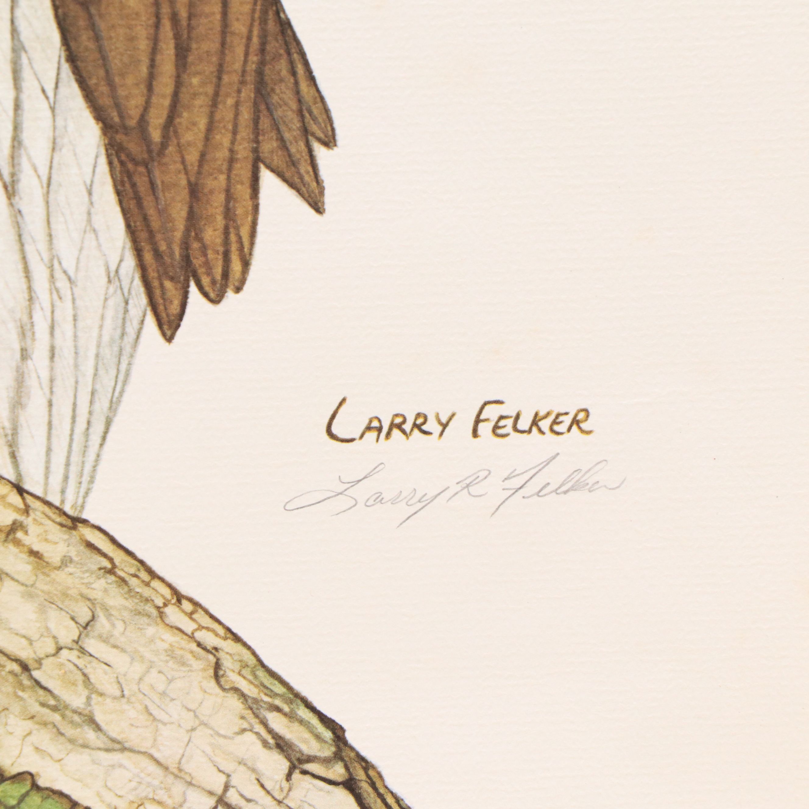 Larry Felker Offset Litho "American Bald Eagle (Haliaeetus Leucocephalus)," 1975
