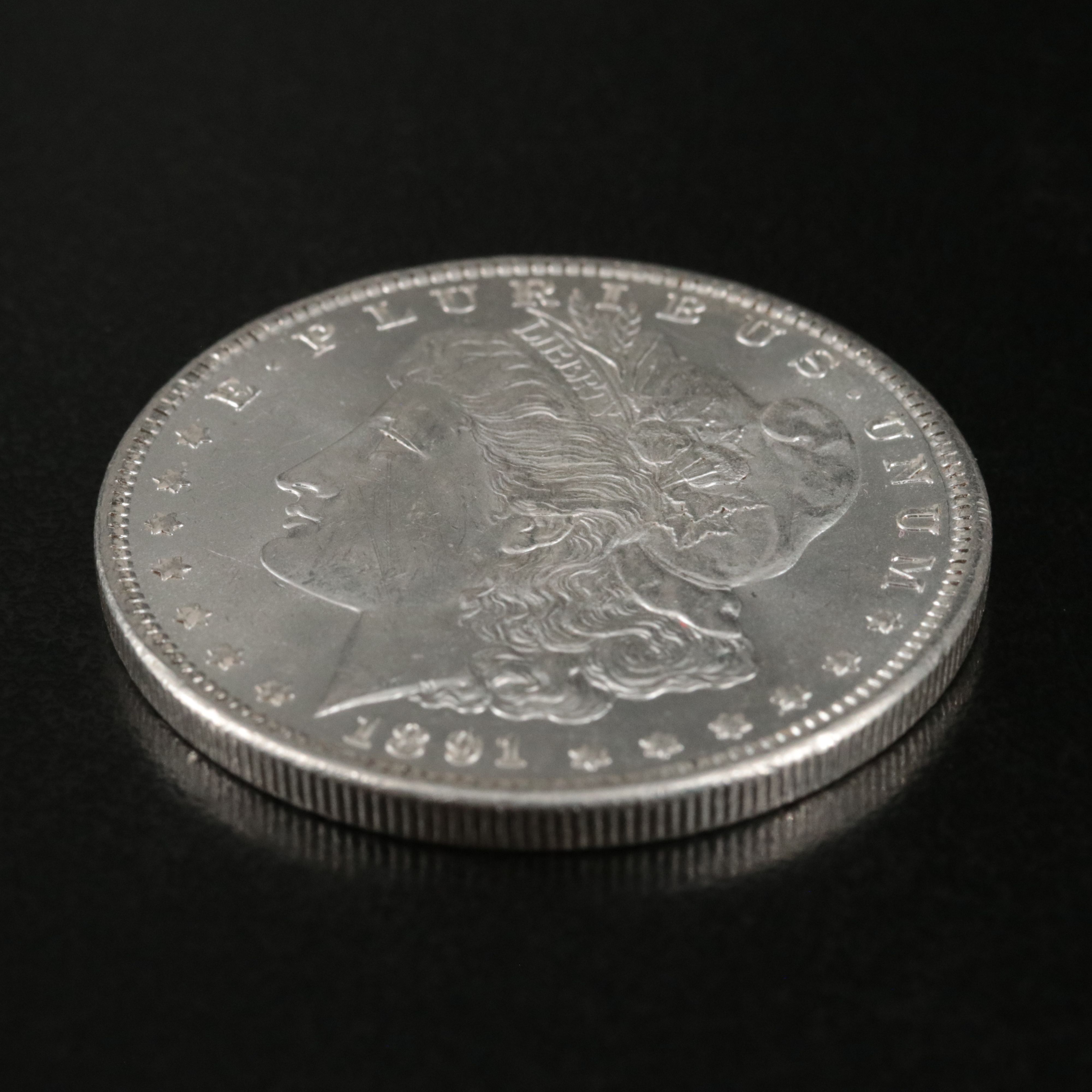 1891 Morgan Silver Dollar