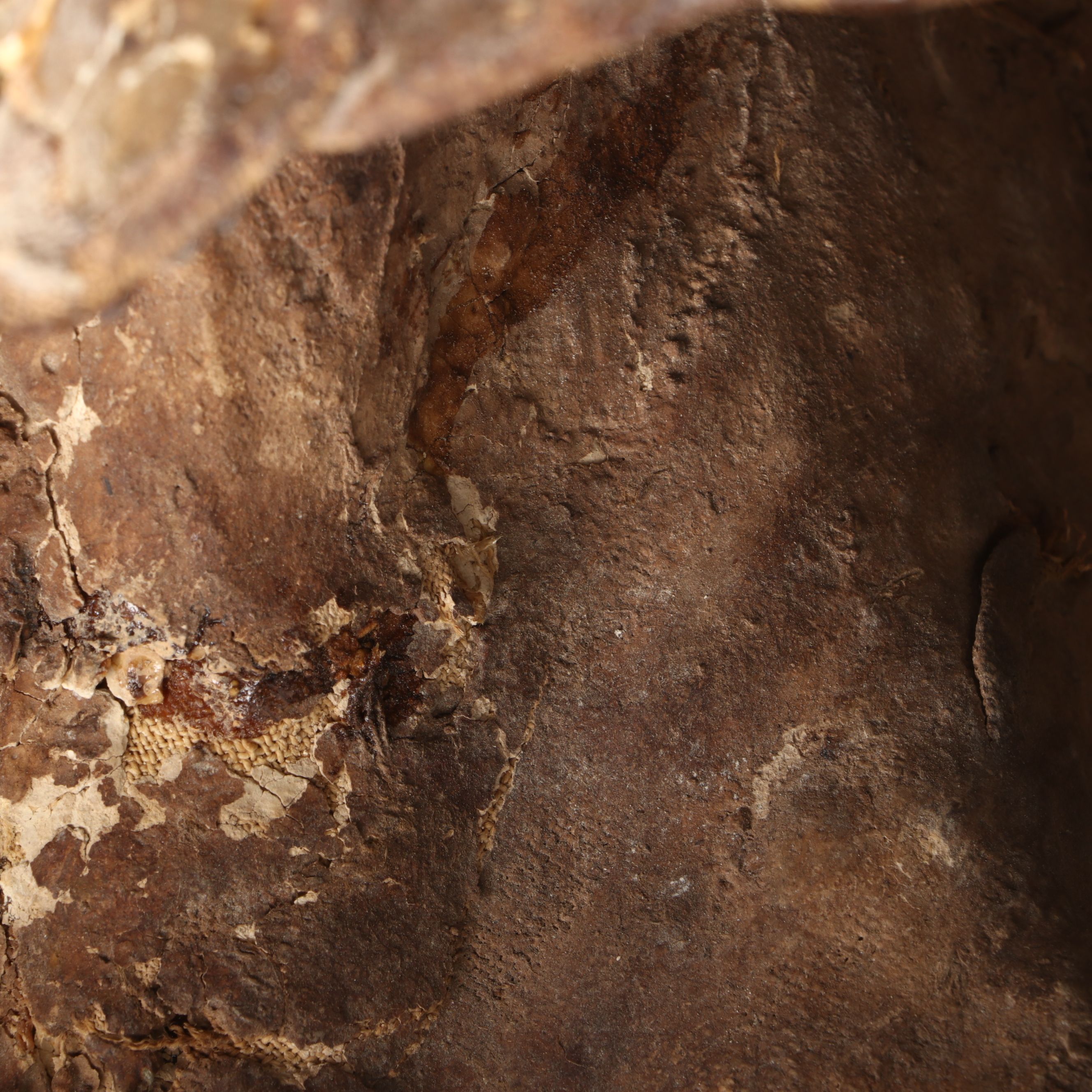 Egyptian Sarcophagus Helmet Mask in Glass Case, 1st to 2nd Century CE