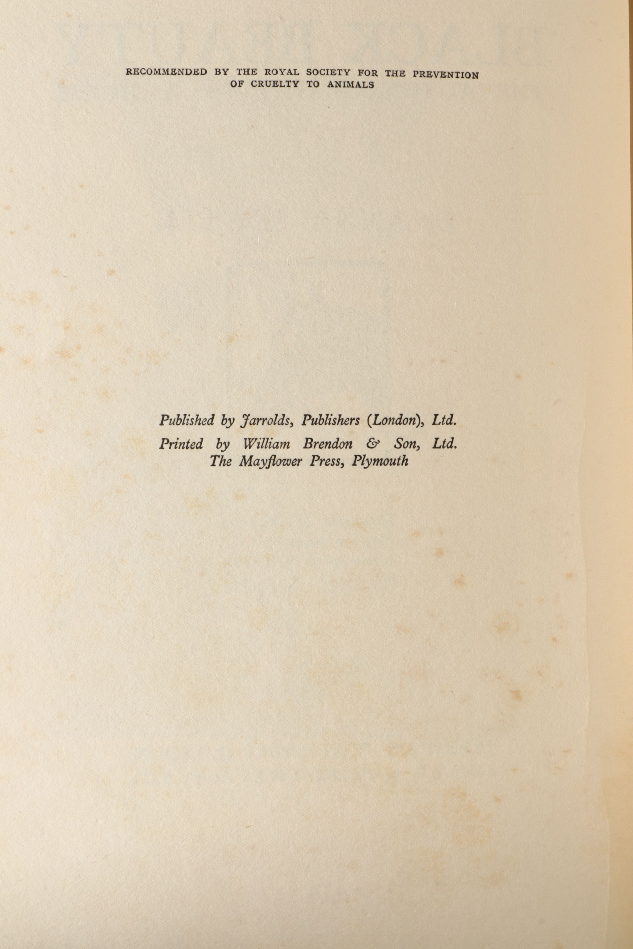 Cecil Aldin Illustrated "Black Beauty" by Anna Sewell, Early 20th Century
