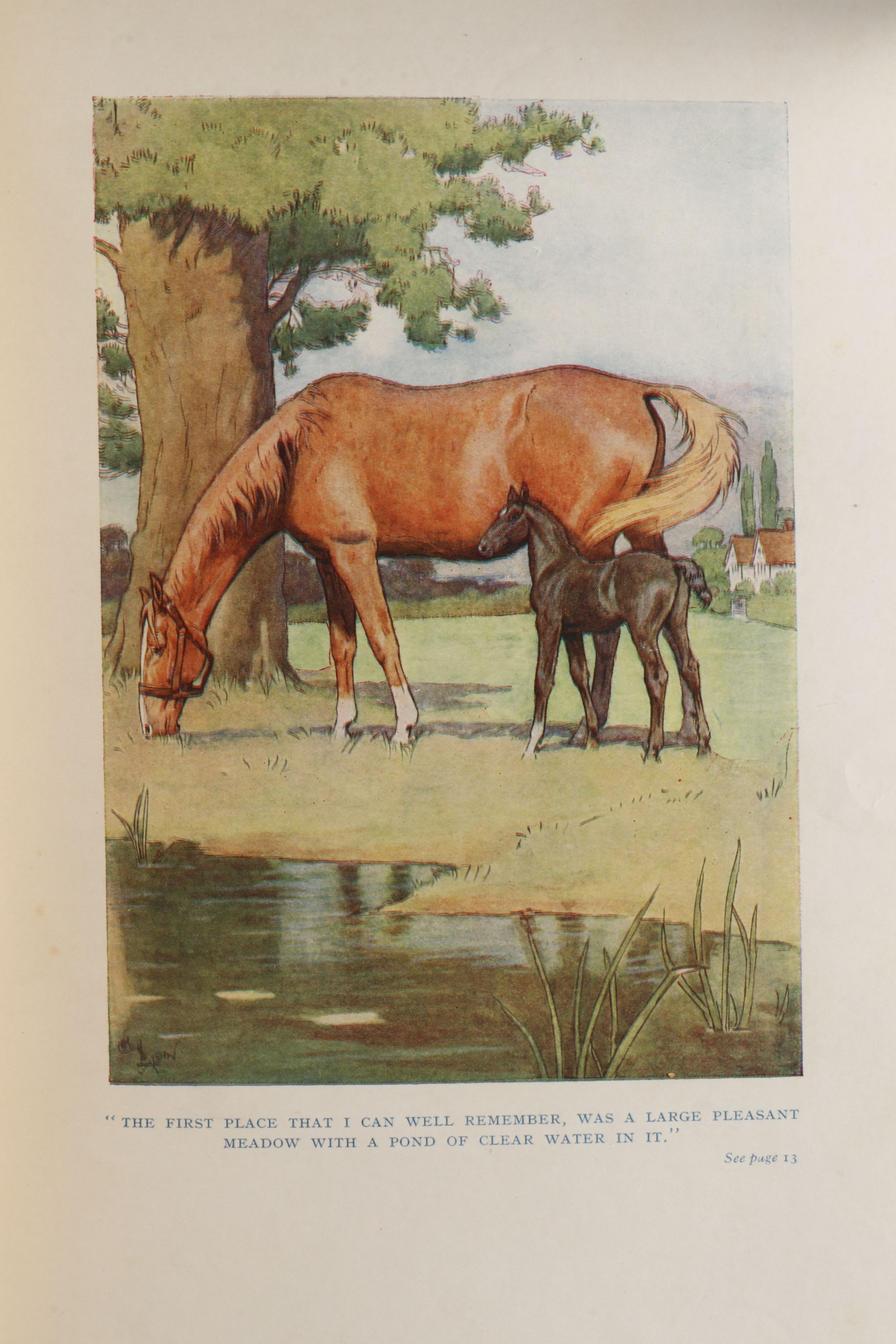Cecil Aldin Illustrated "Black Beauty" by Anna Sewell, Early 20th Century