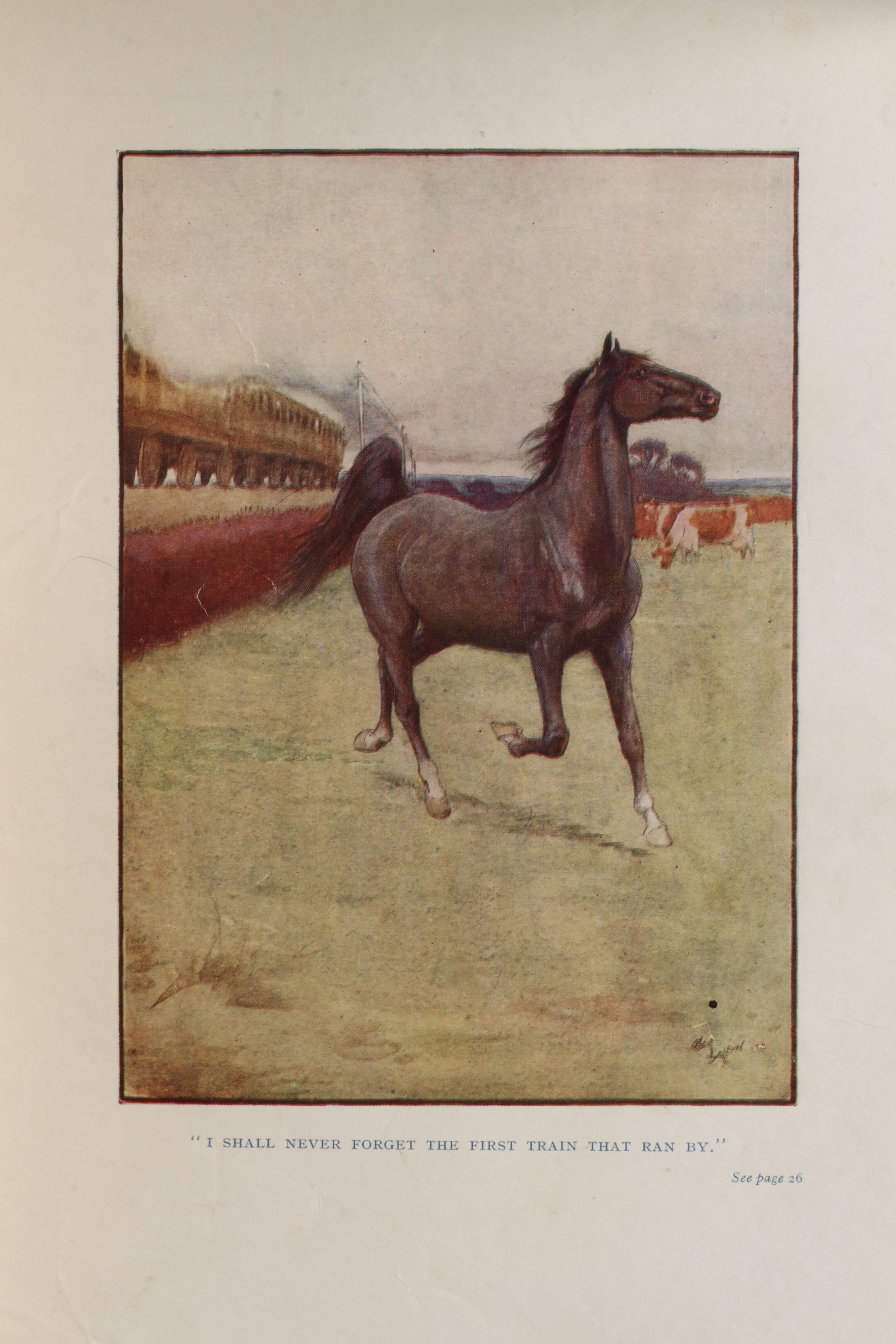 Cecil Aldin Illustrated "Black Beauty" by Anna Sewell, Early 20th Century