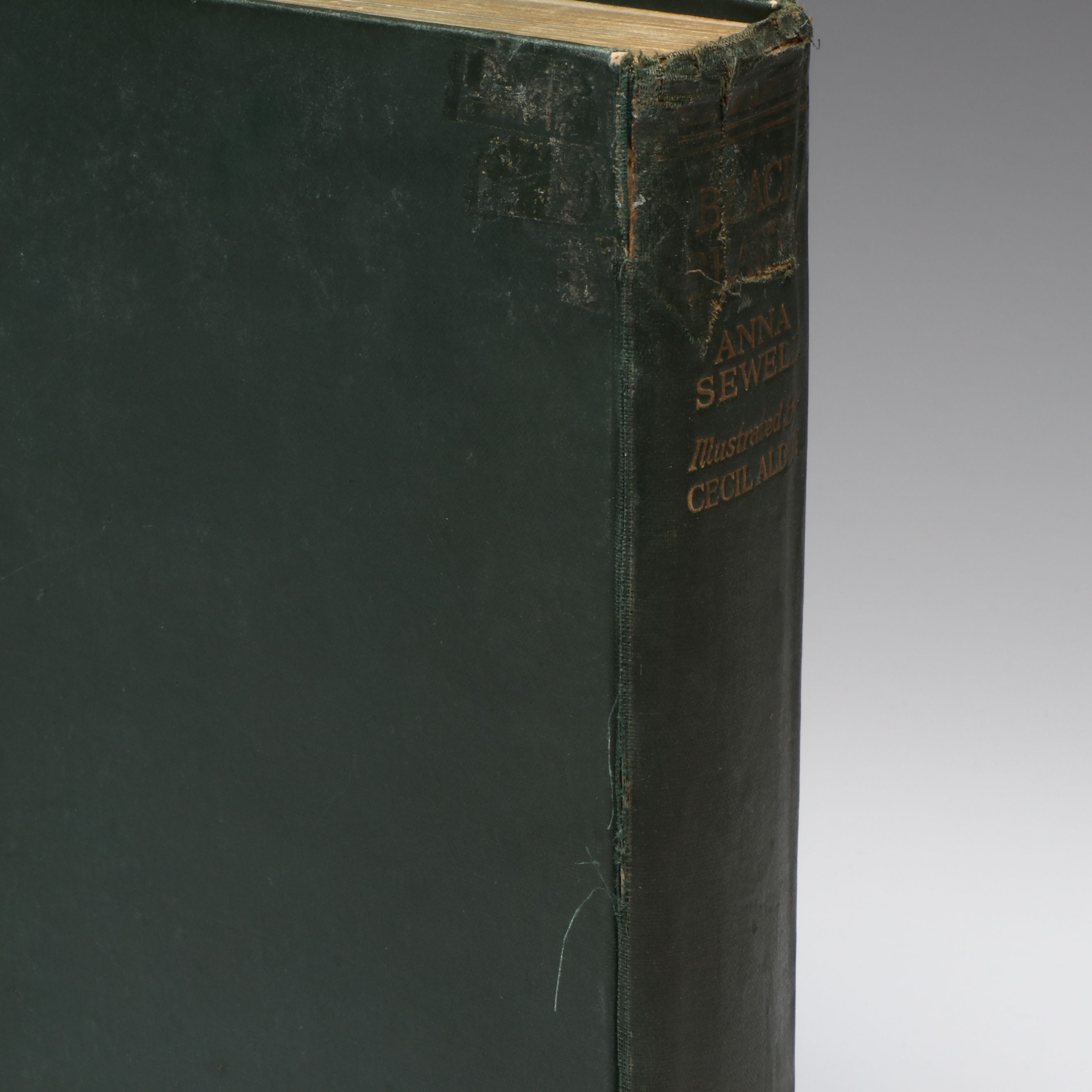 Cecil Aldin Illustrated "Black Beauty" by Anna Sewell, Early 20th Century