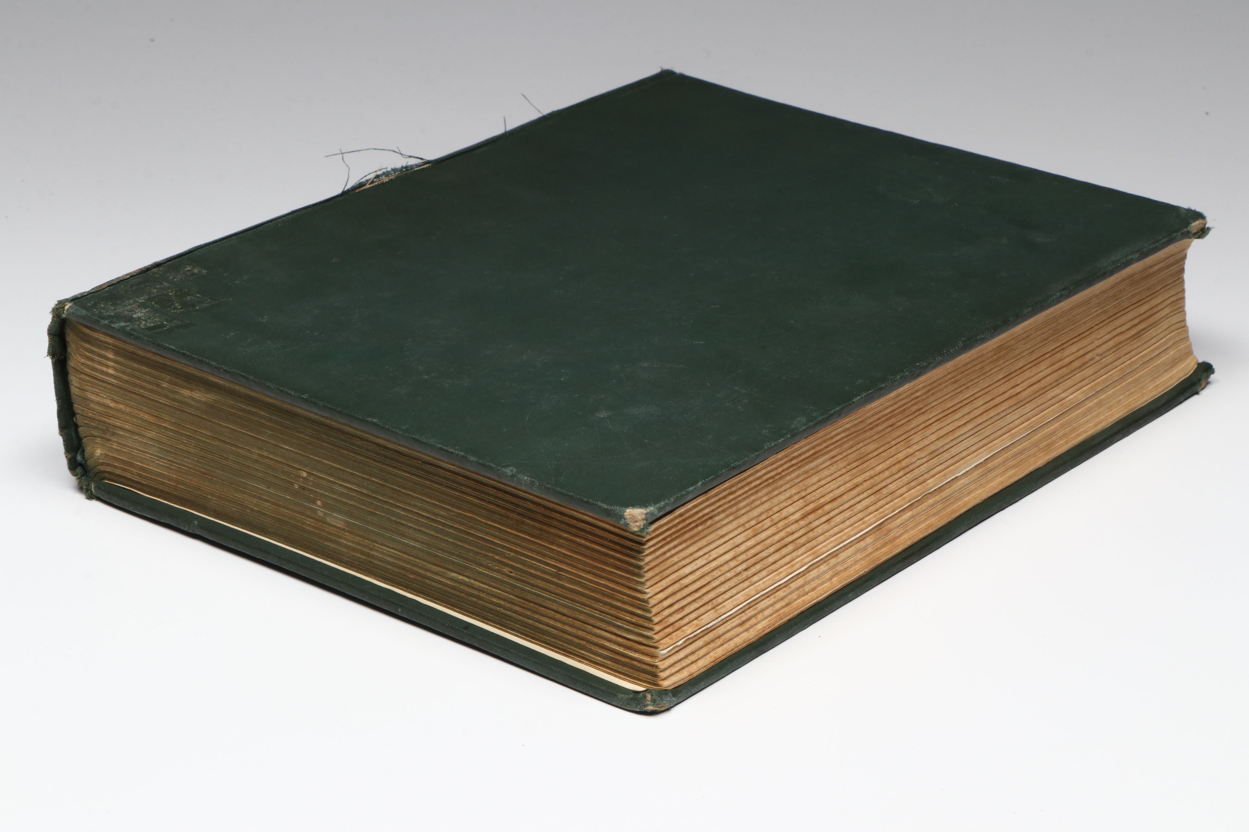 Cecil Aldin Illustrated "Black Beauty" by Anna Sewell, Early 20th Century