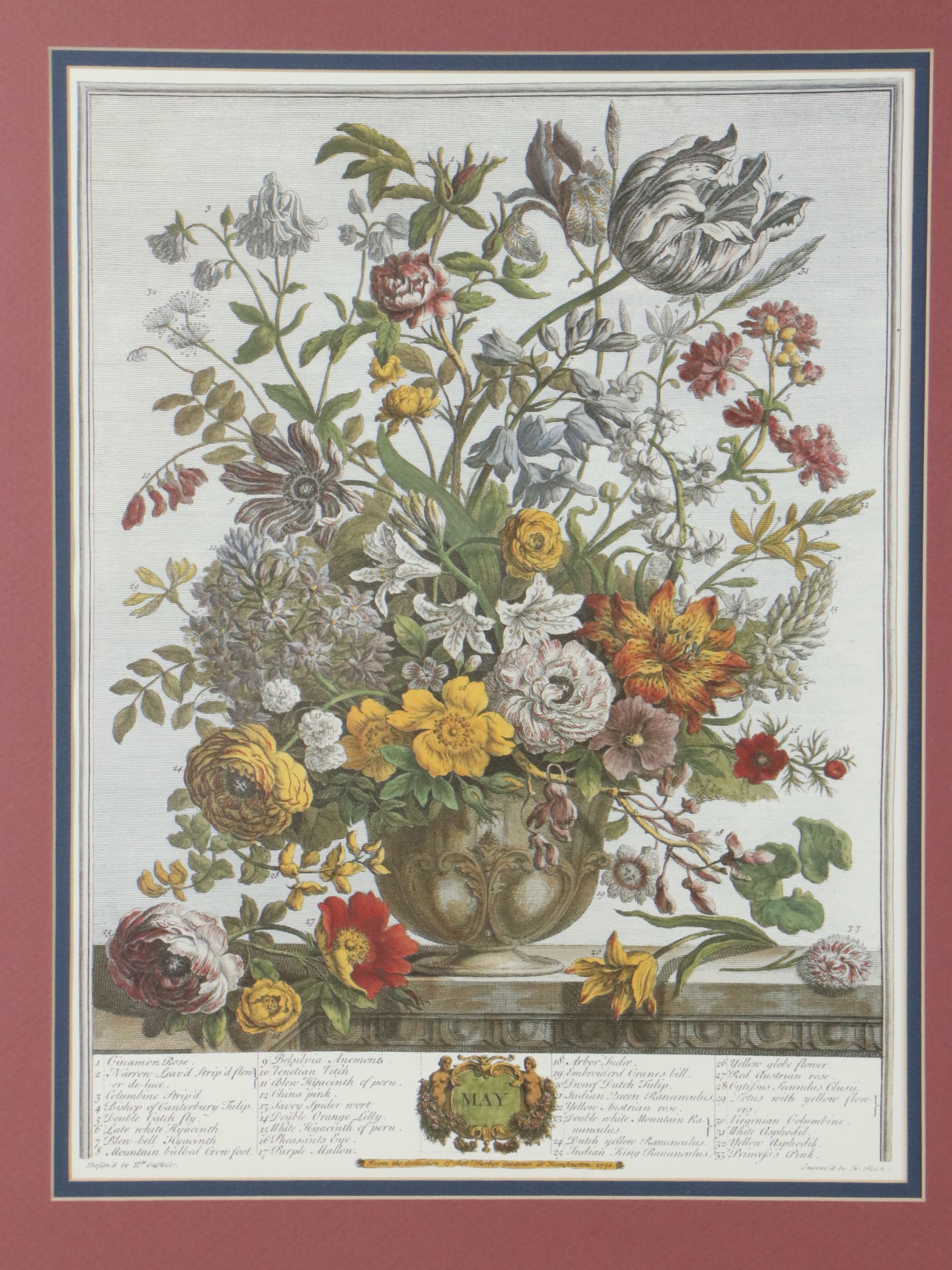 Floral Offset Lithographs After Robert Furber "Twelve Months of Flowers"