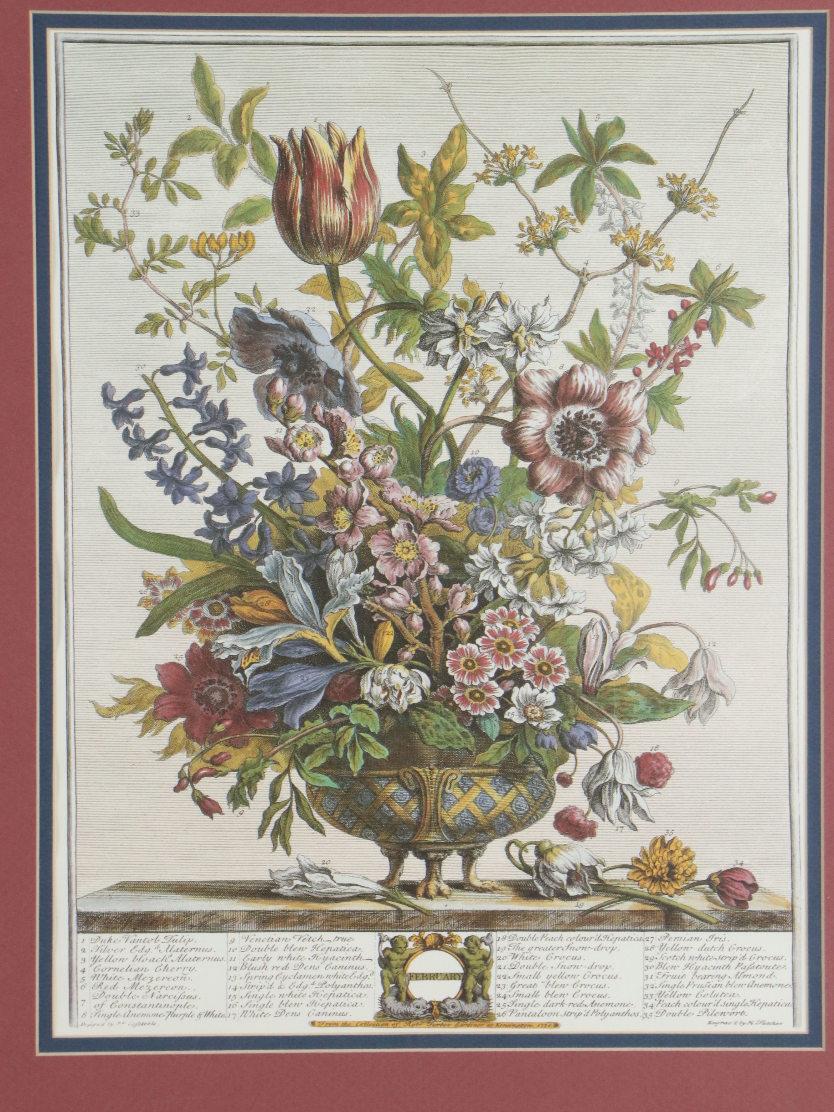 Floral Offset Lithographs After Robert Furber "Twelve Months of Flowers"