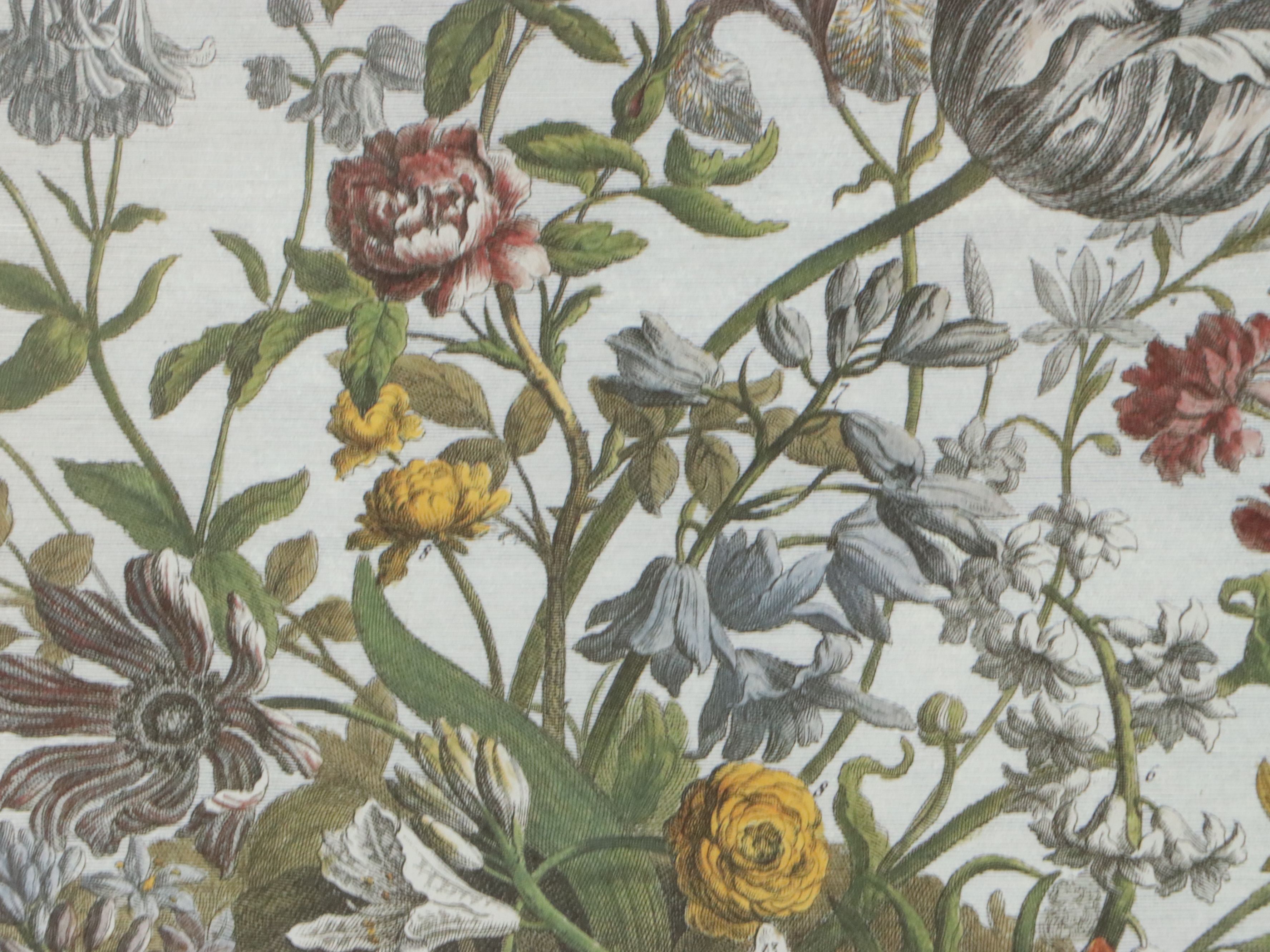 Floral Offset Lithographs After Robert Furber "Twelve Months of Flowers"