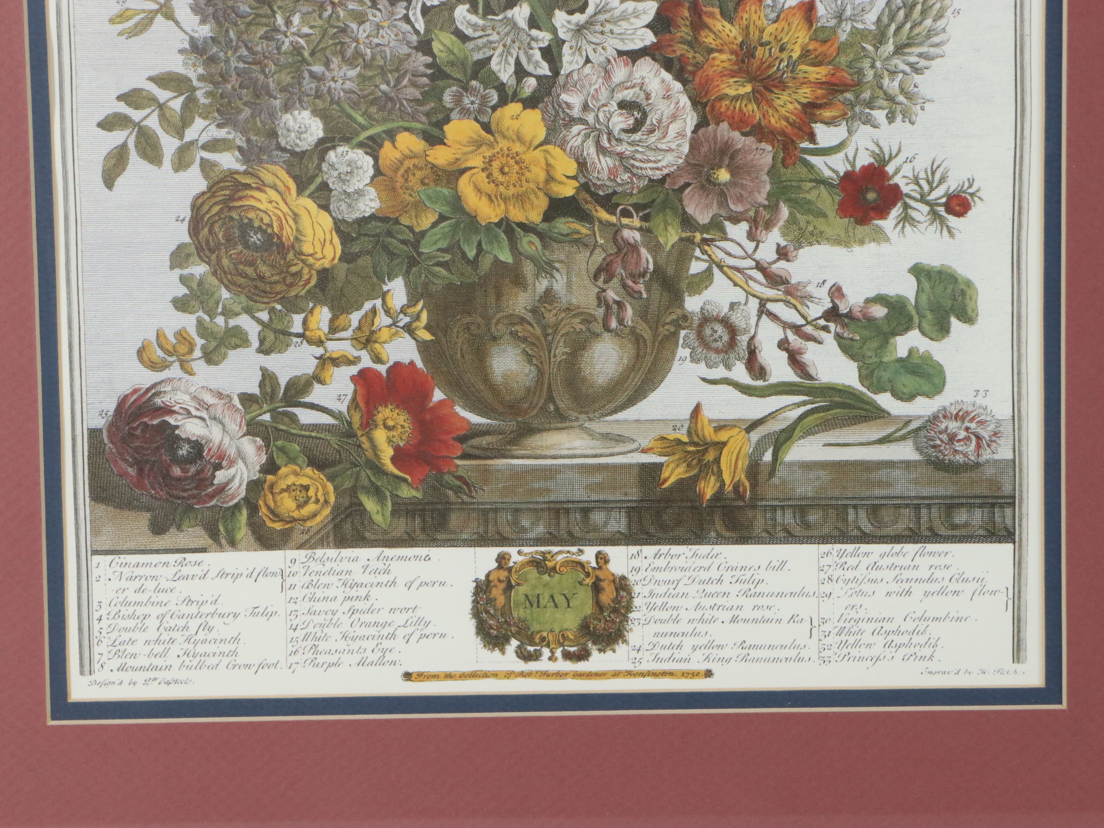 Floral Offset Lithographs After Robert Furber "Twelve Months of Flowers"