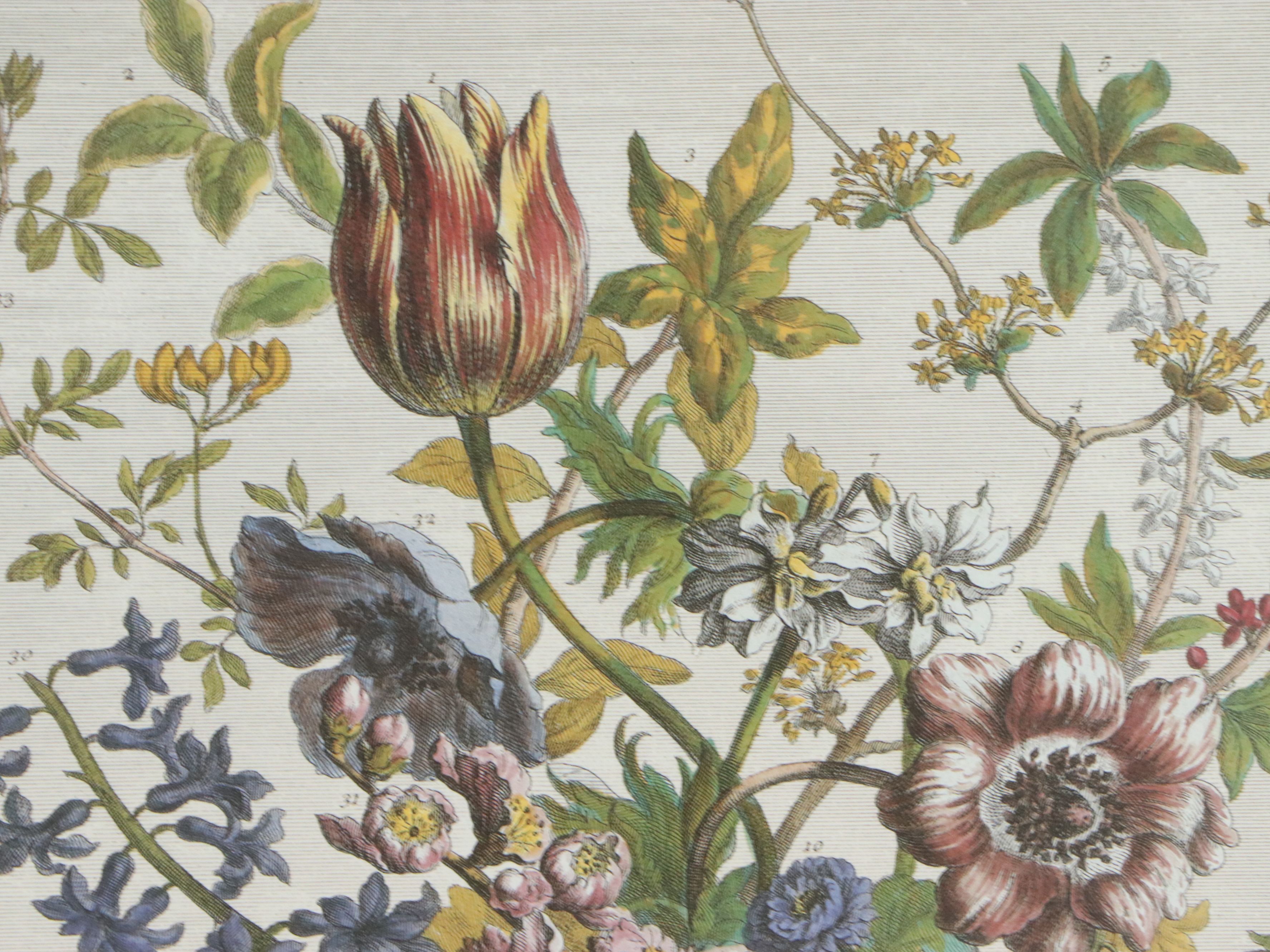 Floral Offset Lithographs After Robert Furber "Twelve Months of Flowers"