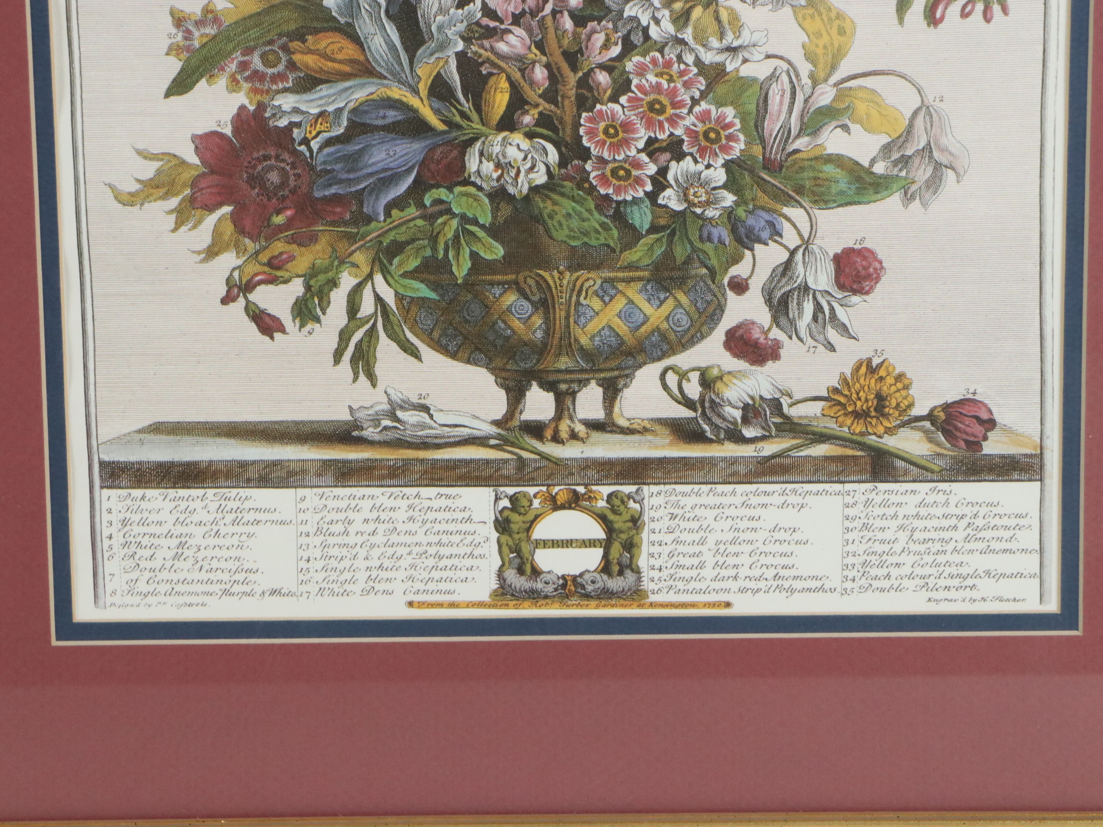 Floral Offset Lithographs After Robert Furber "Twelve Months of Flowers"