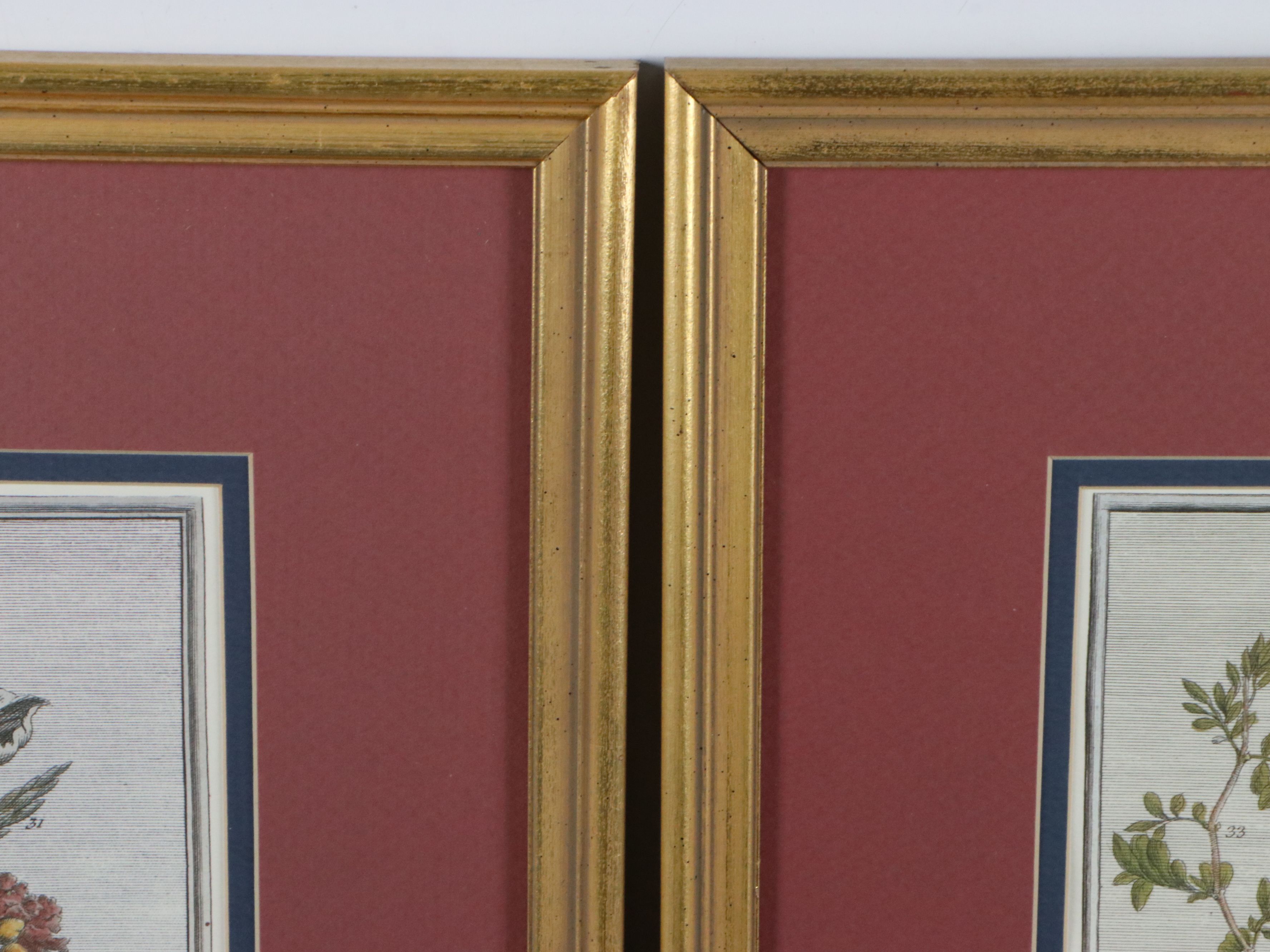 Floral Offset Lithographs After Robert Furber "Twelve Months of Flowers"