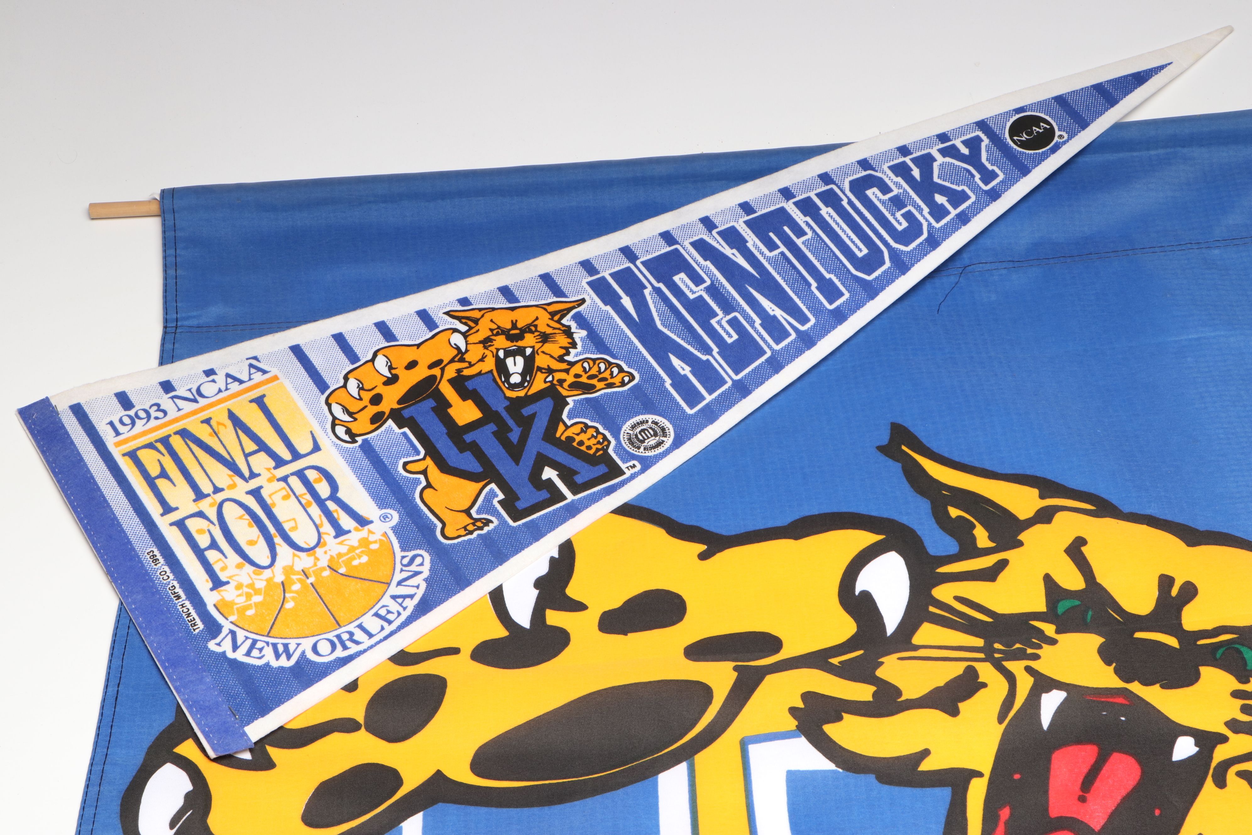 Kentucky Wildcat Error Print Tongue Banner with Felt Sign and Pennant